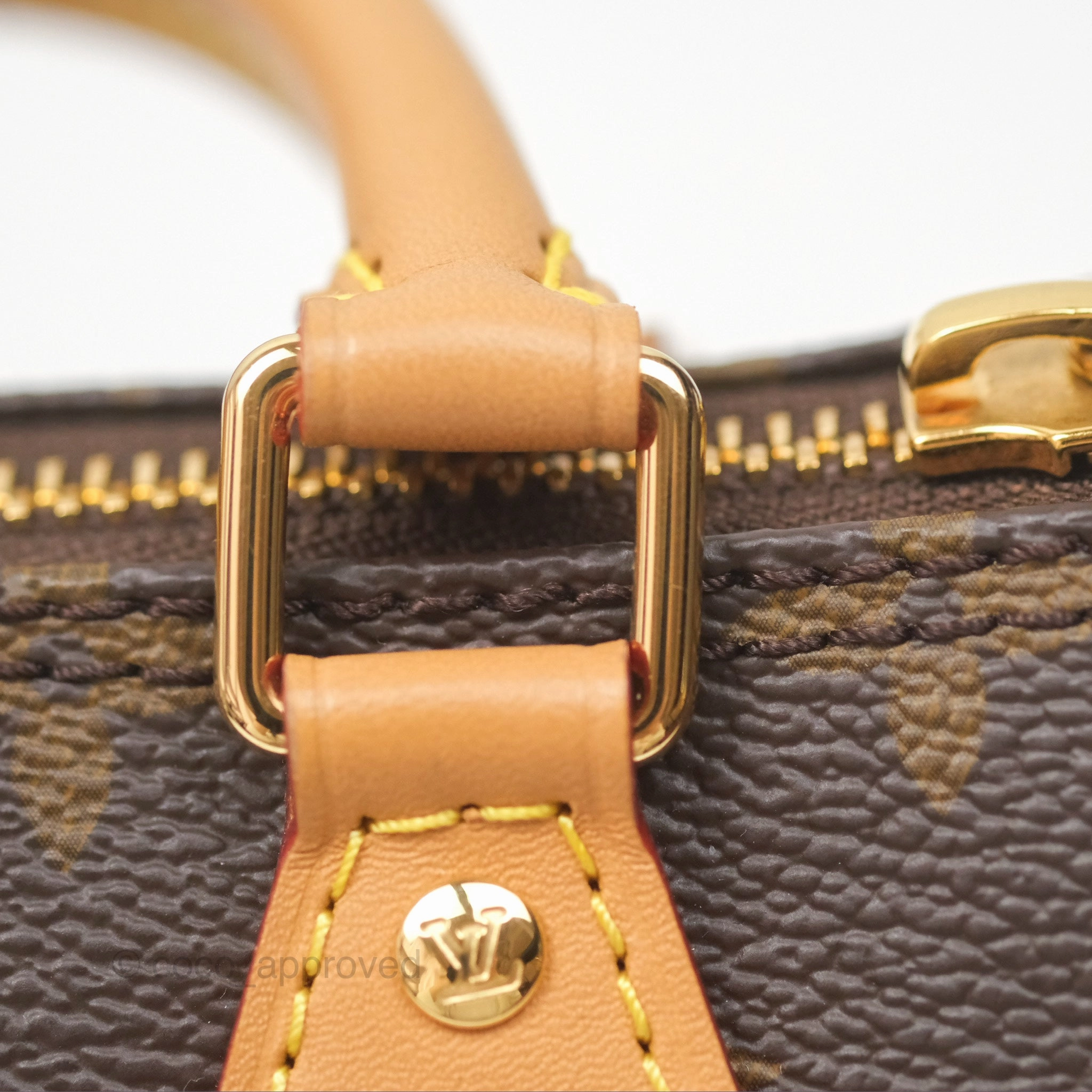 Louis Vuitton Nano Speedy Monogram
