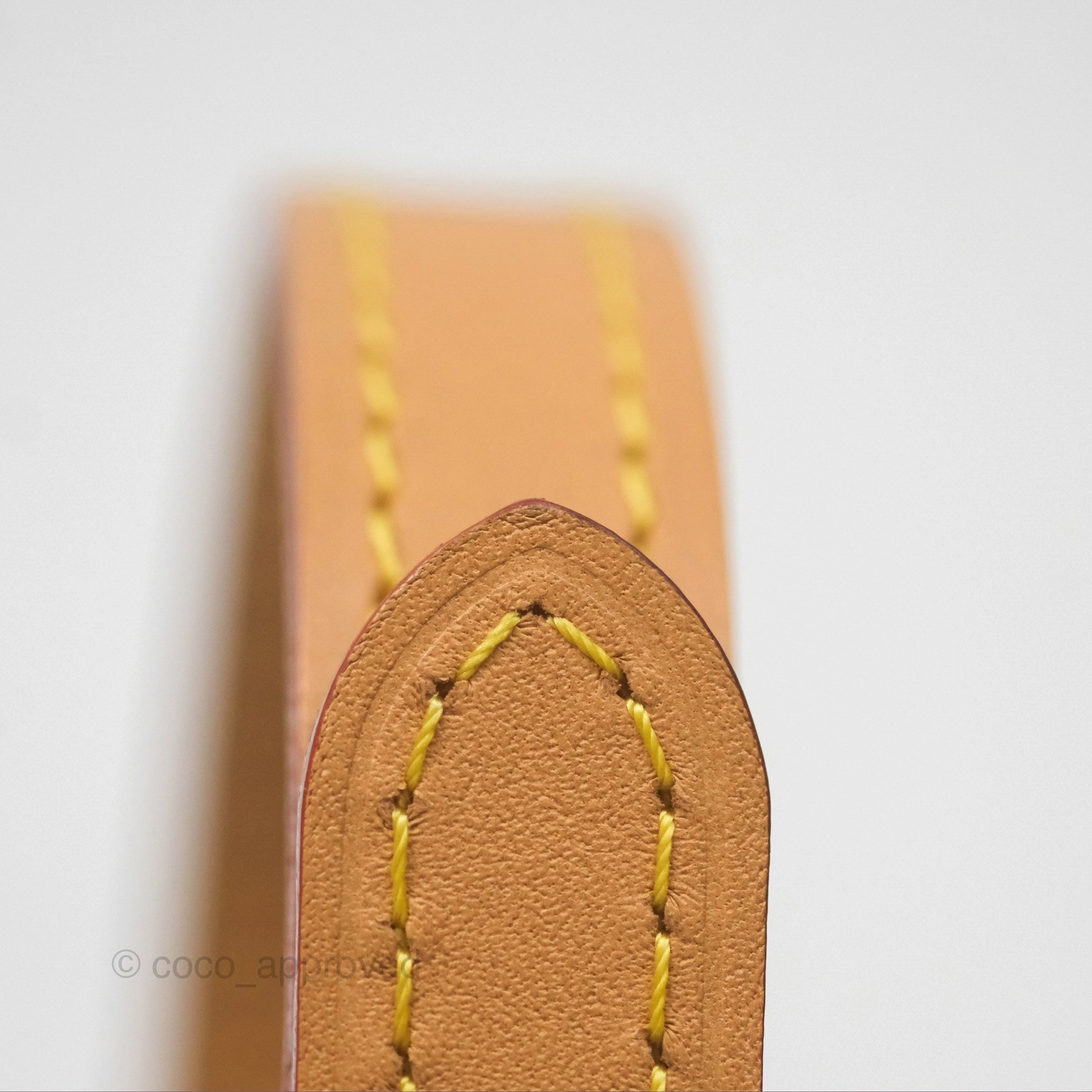 Louis Vuitton Nano Speedy Monogram