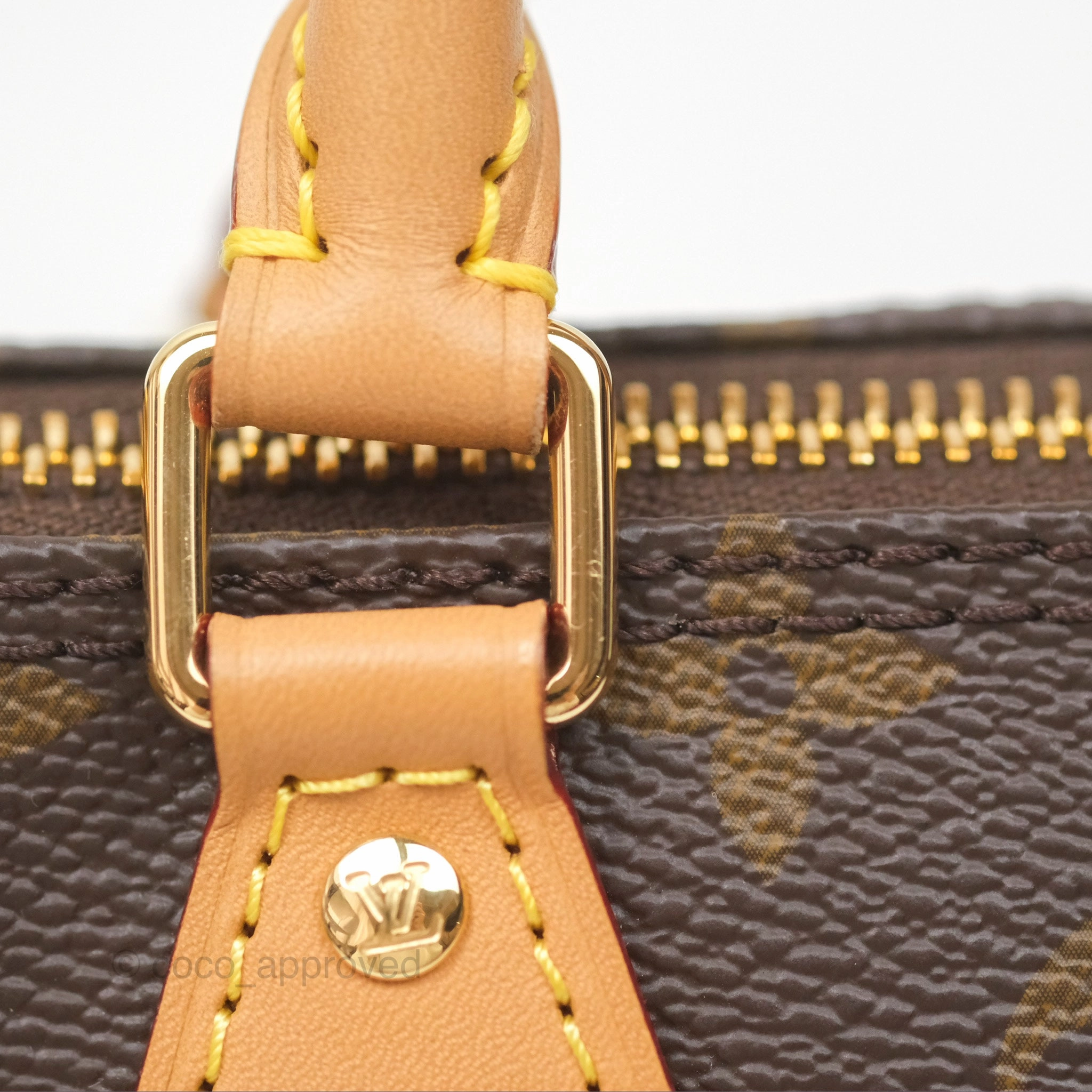 Louis Vuitton Nano Speedy Monogram