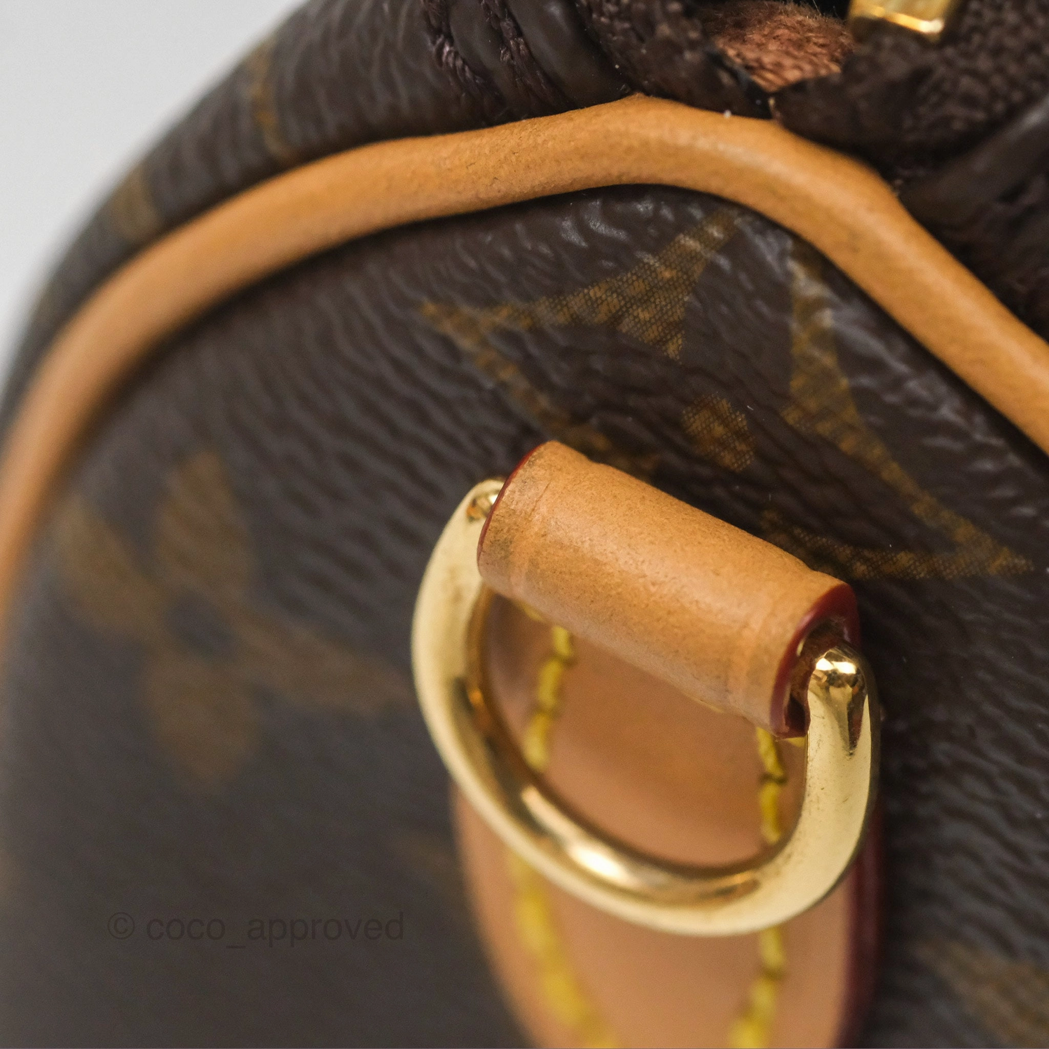 Louis Vuitton Nano Speedy Monogram