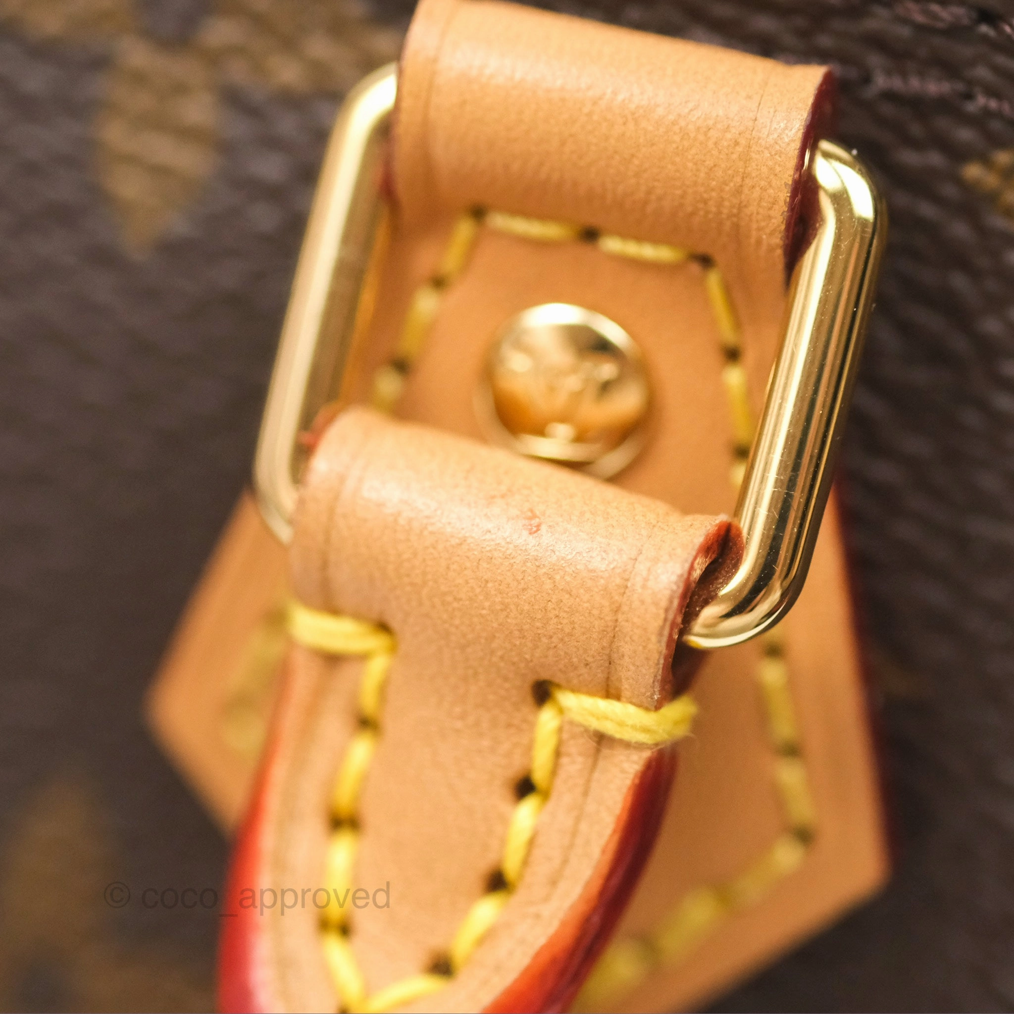 Louis Vuitton Nano Speedy Monogram