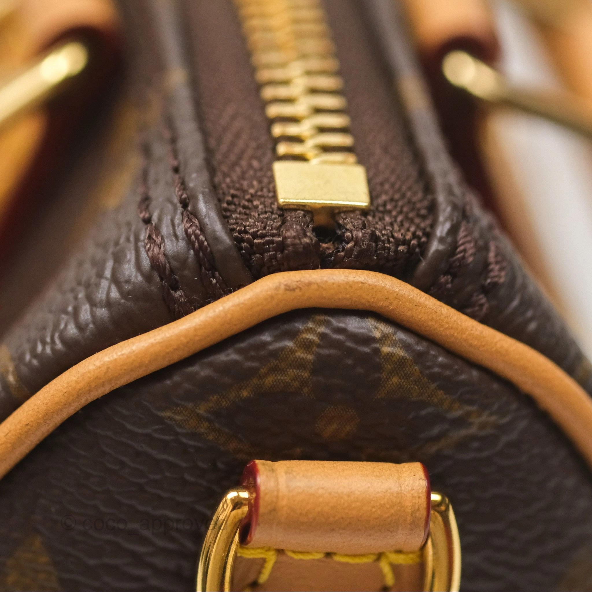 Louis Vuitton Nano Speedy Monogram