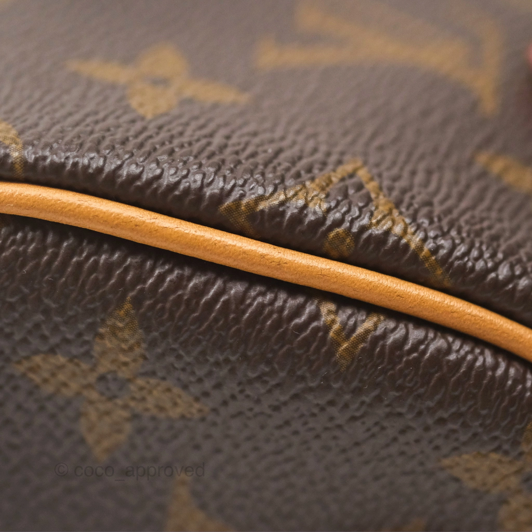 Louis Vuitton Nano Speedy Monogram