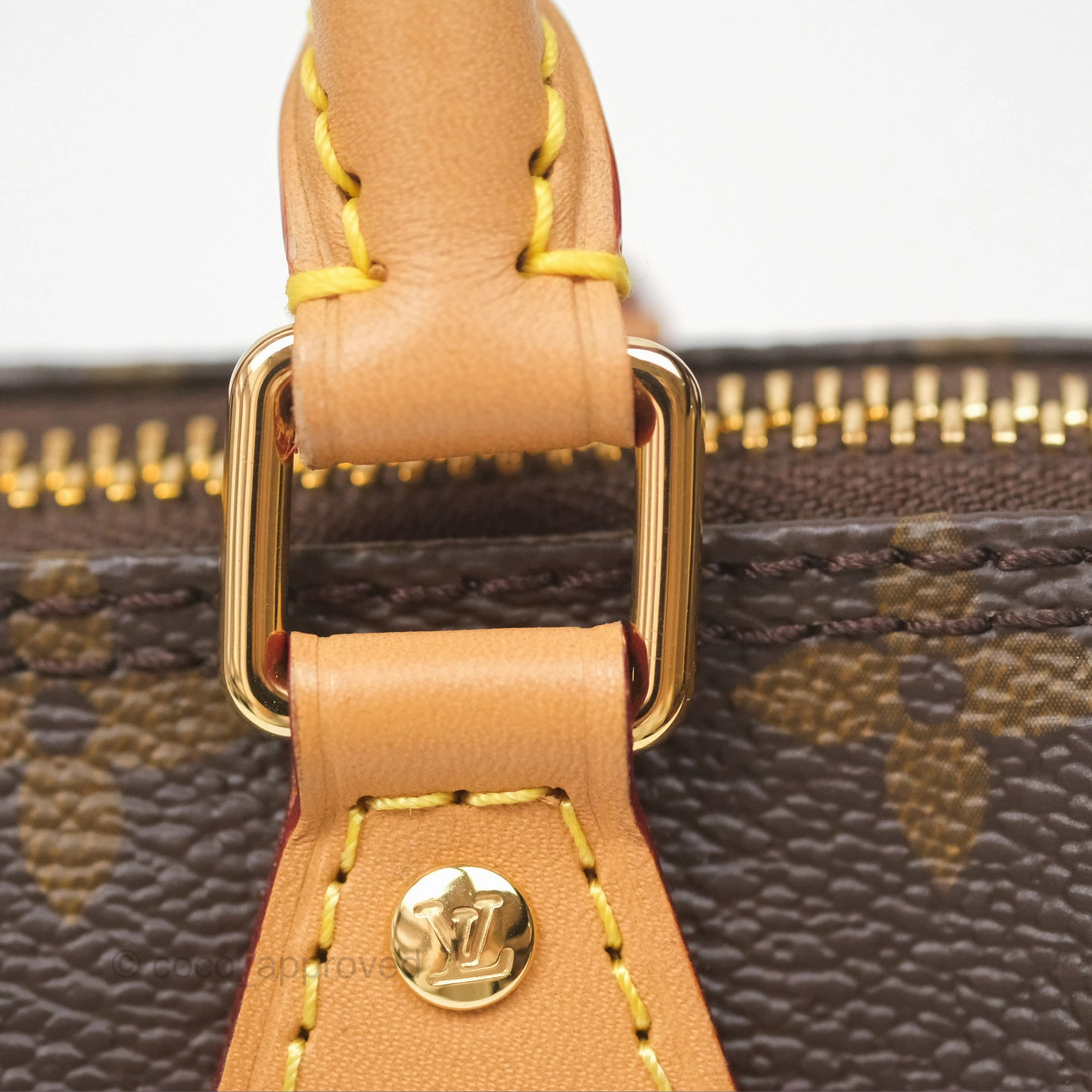 Louis Vuitton Nano Speedy Monogram