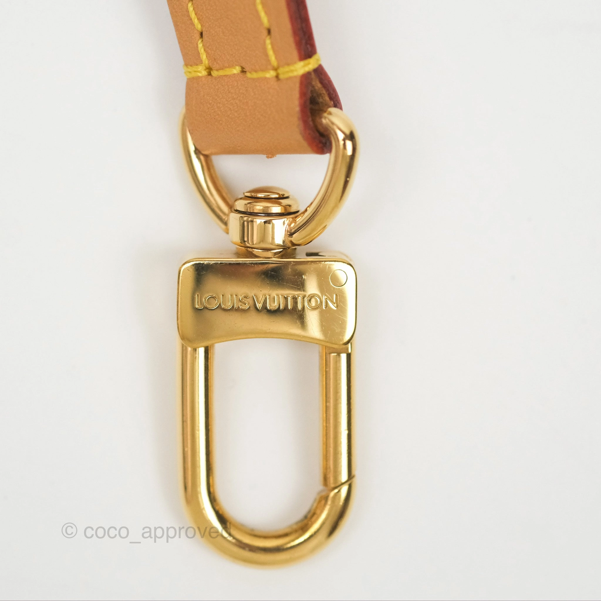 Louis Vuitton Nano Speedy Monogram