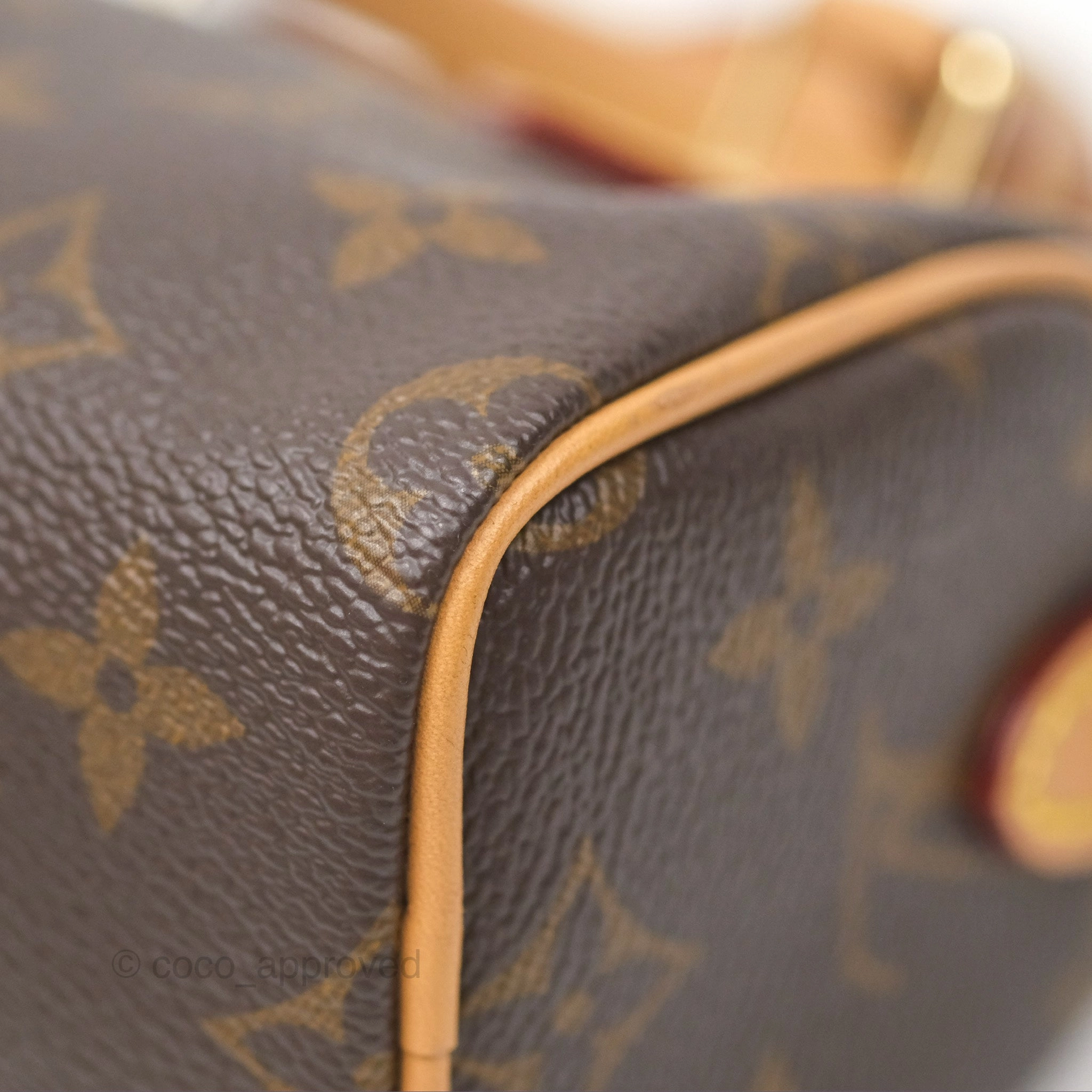 Louis Vuitton Nano Speedy Monogram