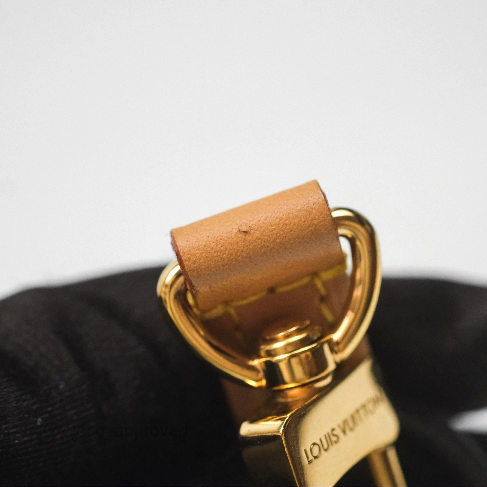 Louis Vuitton Nano Speedy Monogram