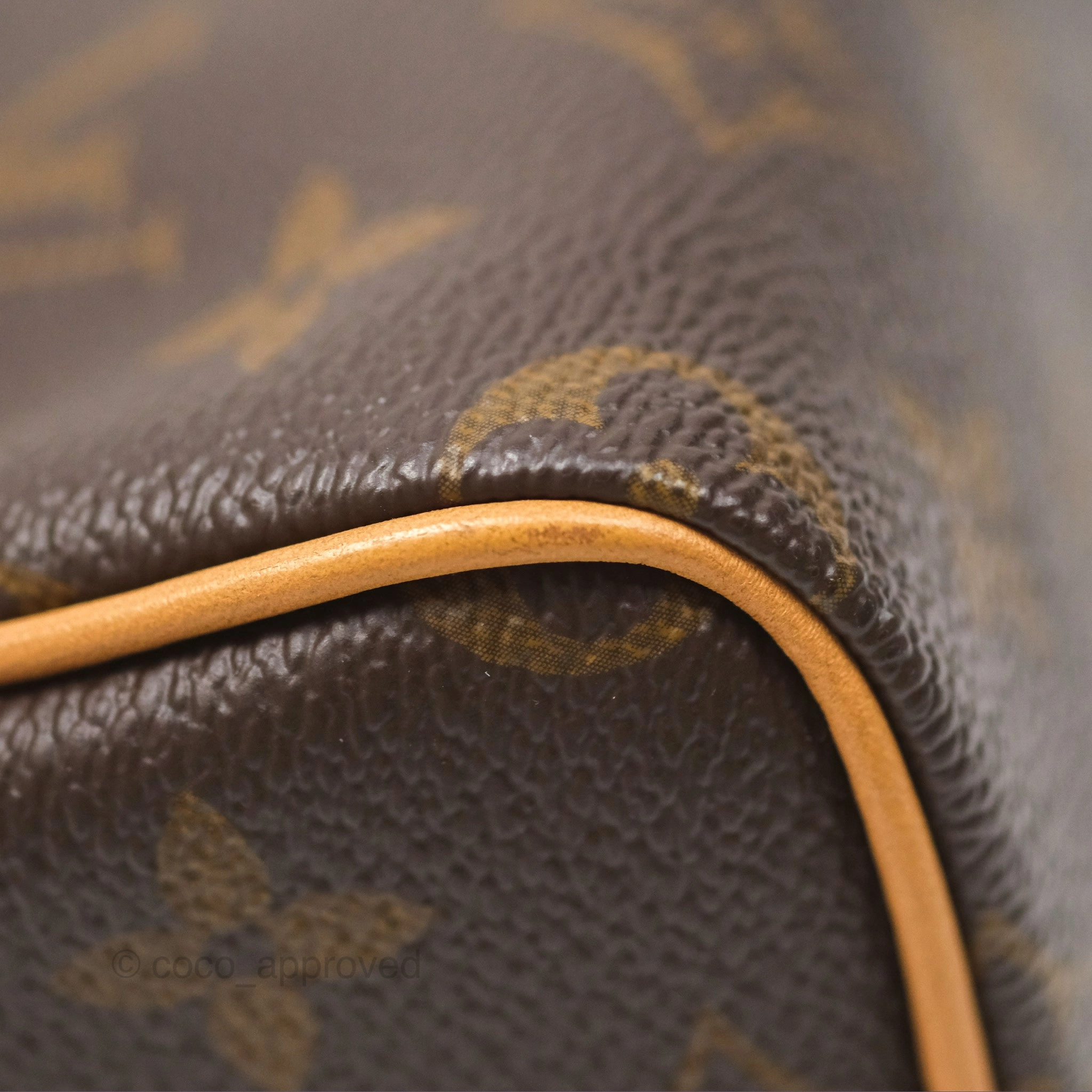 Louis Vuitton Nano Speedy Monogram