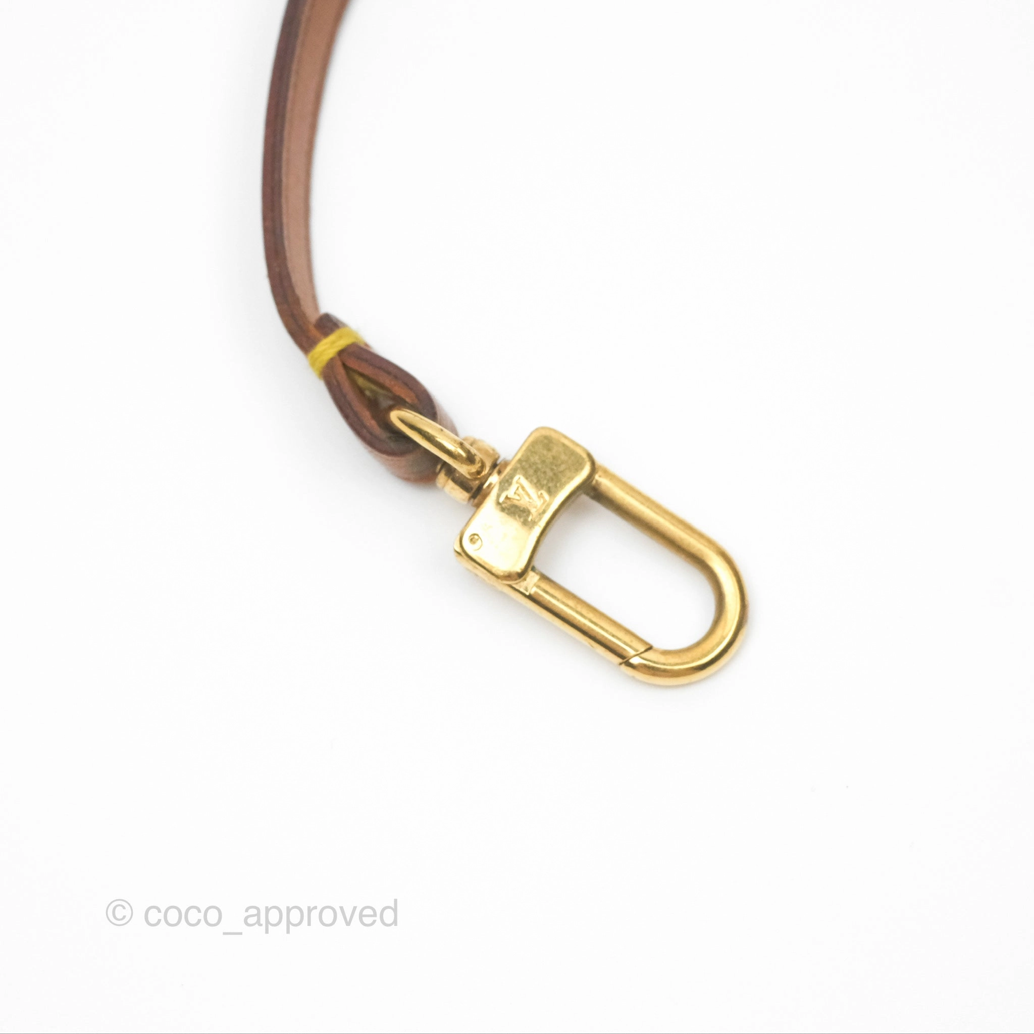 Louis Vuitton Pochette Accessories Monogram Canvas