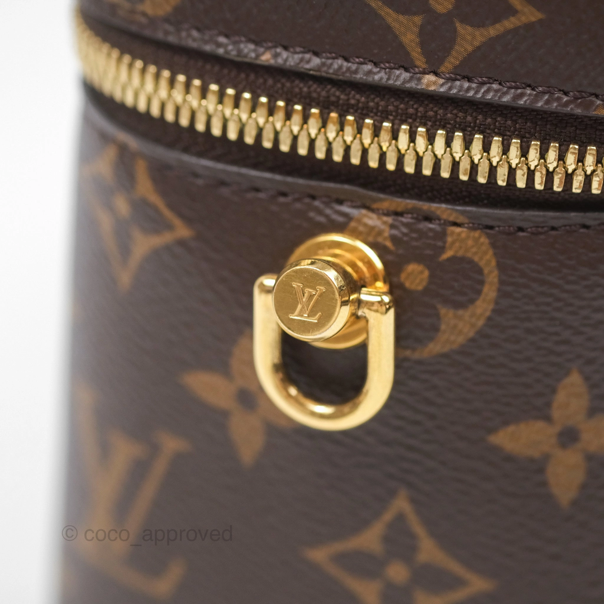 Louis Vuitton Reverse Monogram Vanity PM