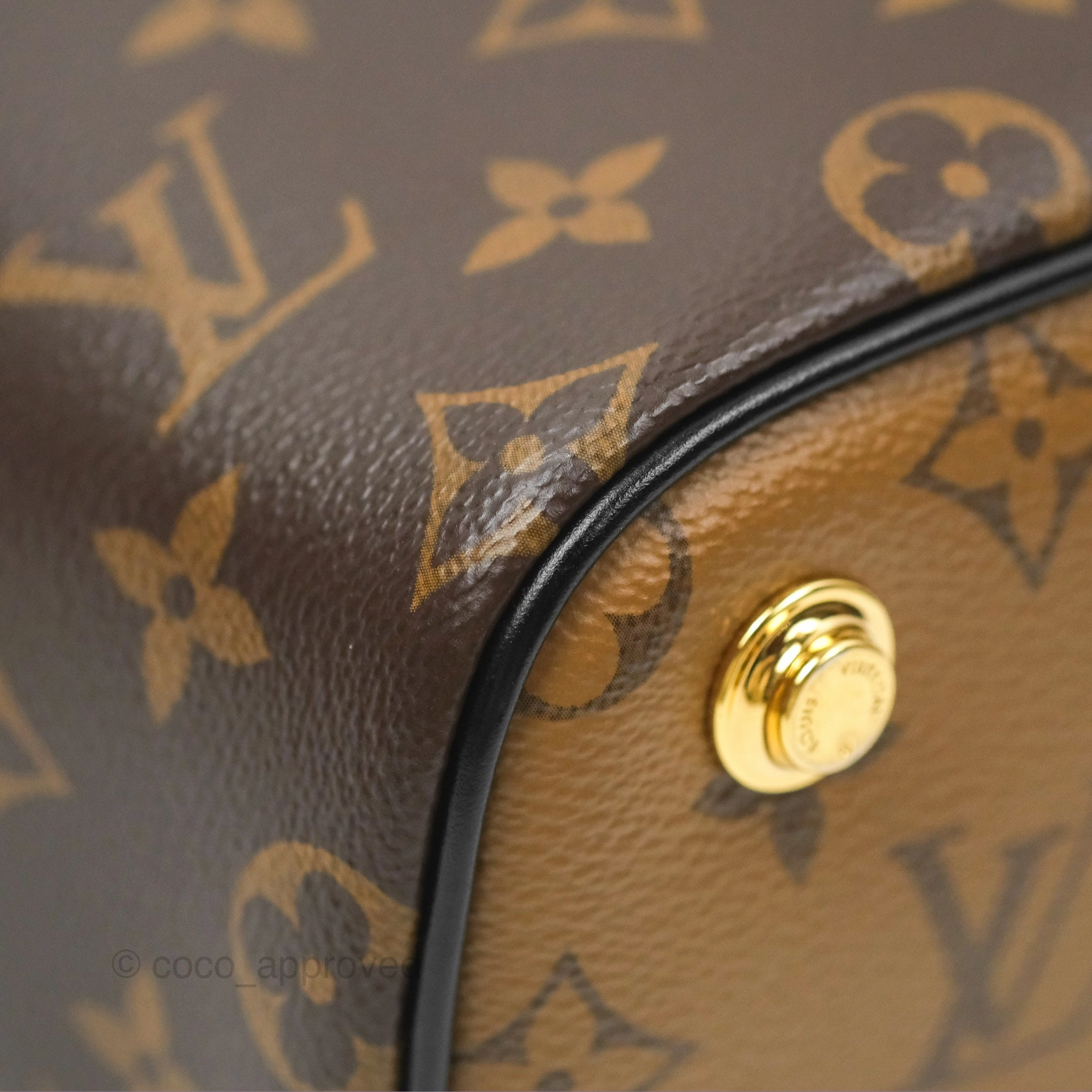 Louis Vuitton Reverse Monogram Vanity PM