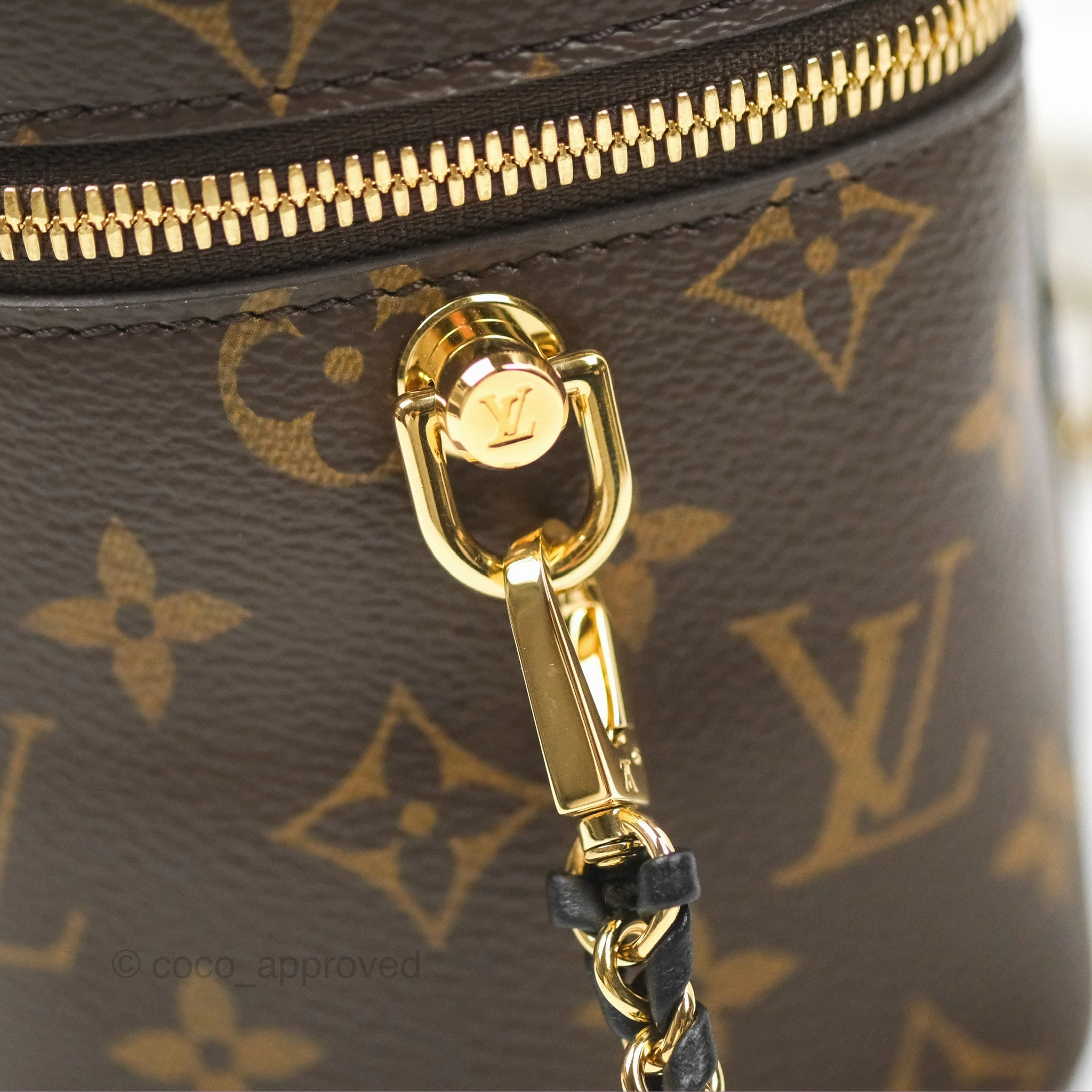 Louis Vuitton Reverse Monogram Vanity PM
