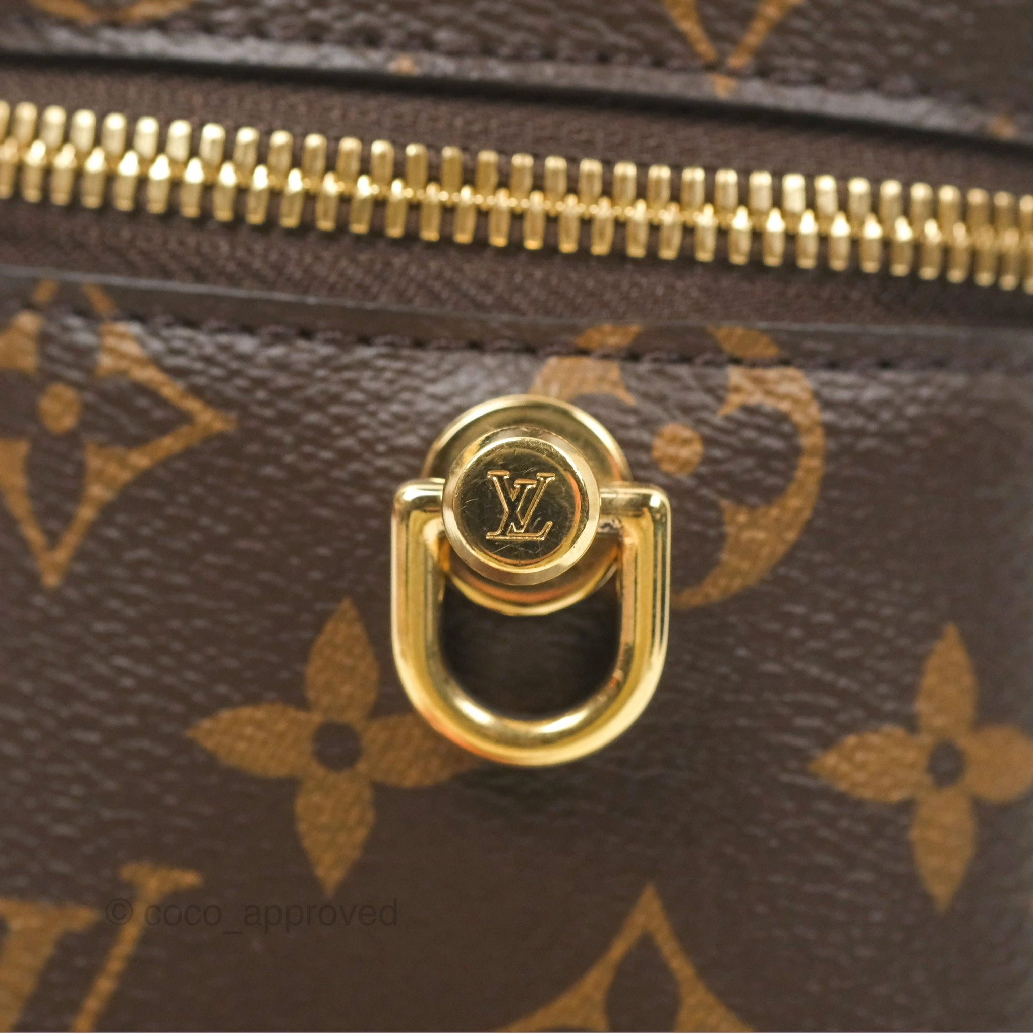Louis Vuitton Reverse Monogram Vanity PM