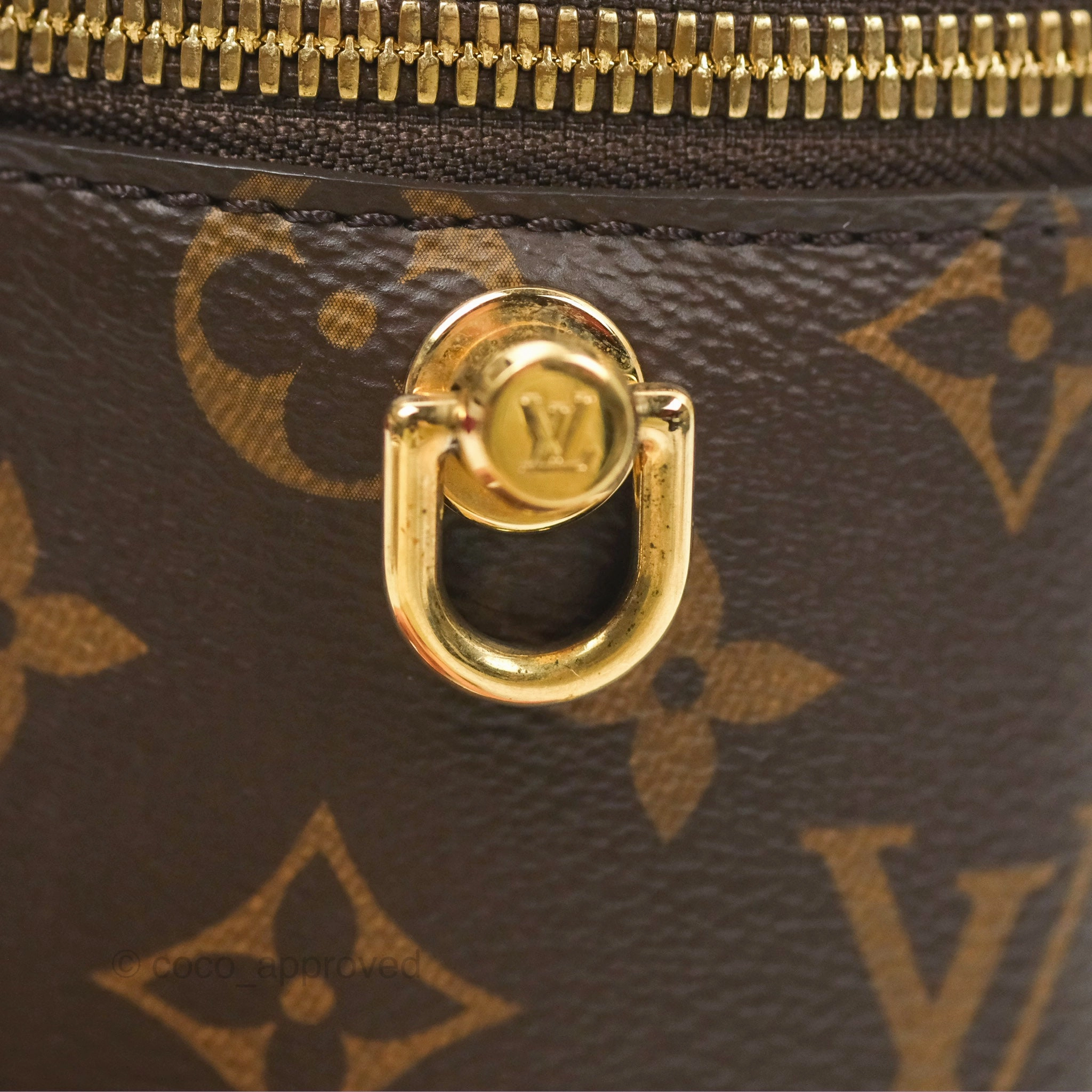 Louis Vuitton Reverse Monogram Vanity PM