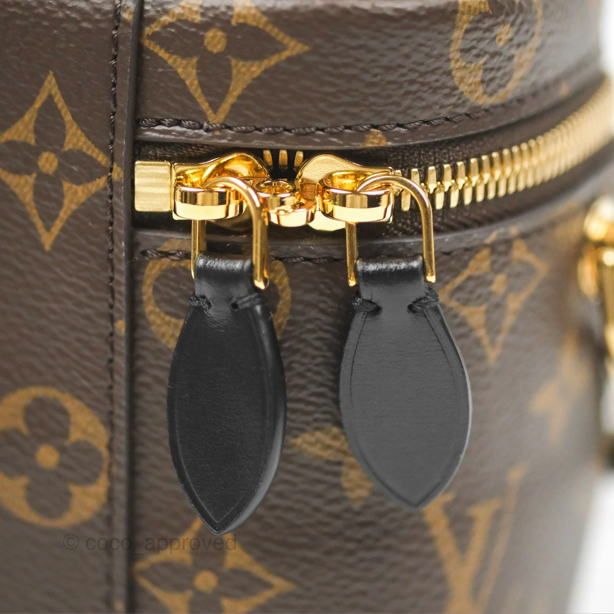 Louis Vuitton Reverse Monogram Vanity PM