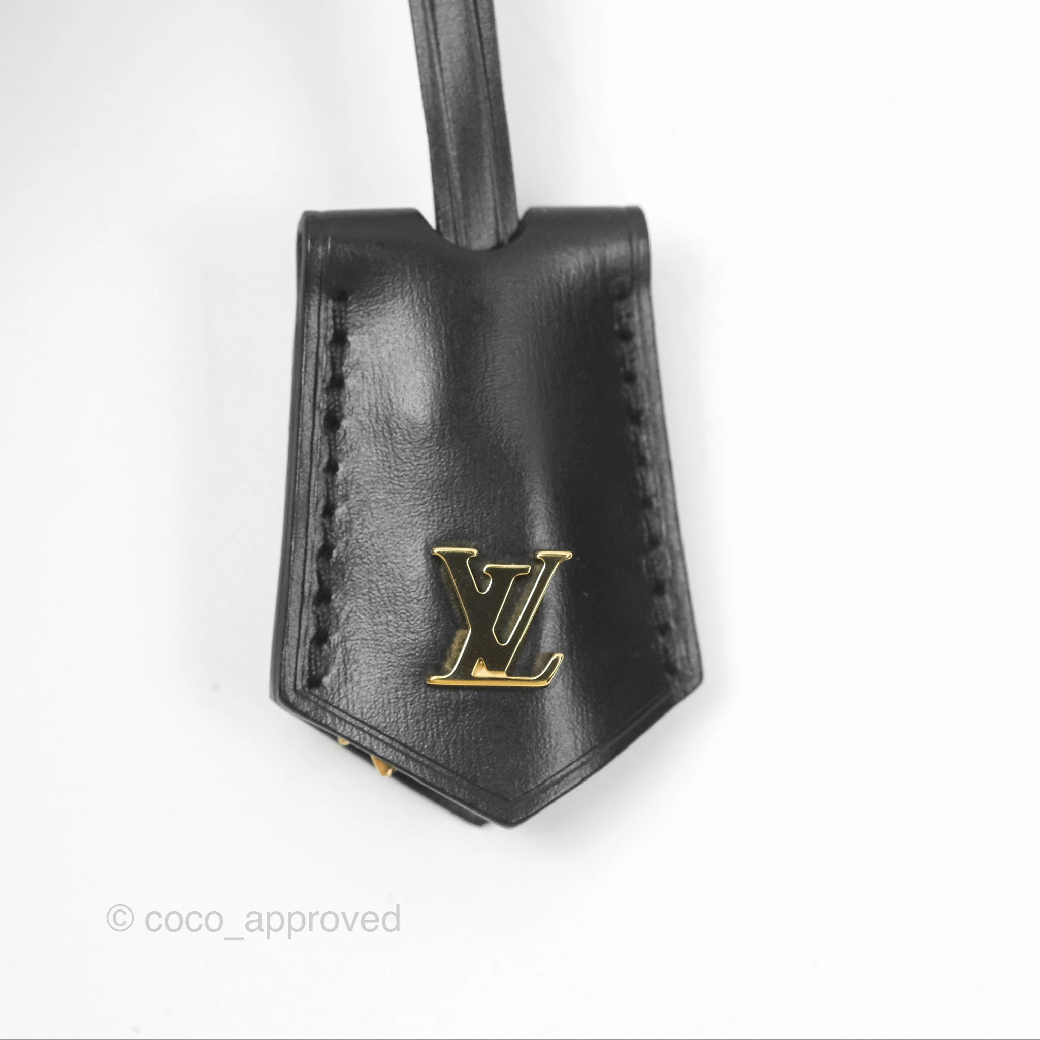 Louis Vuitton Reverse Monogram Vanity PM