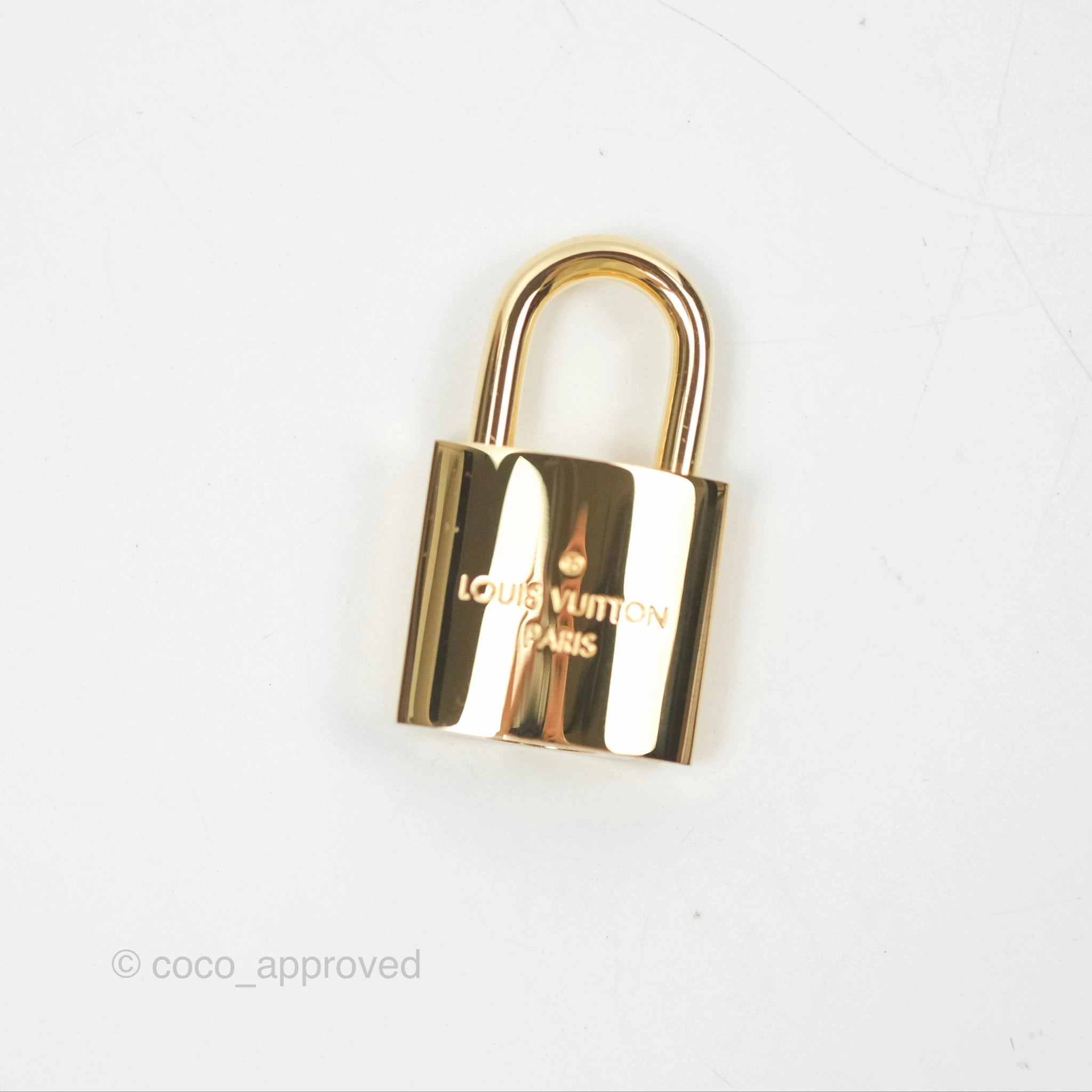 Louis Vuitton Reverse Monogram Vanity PM