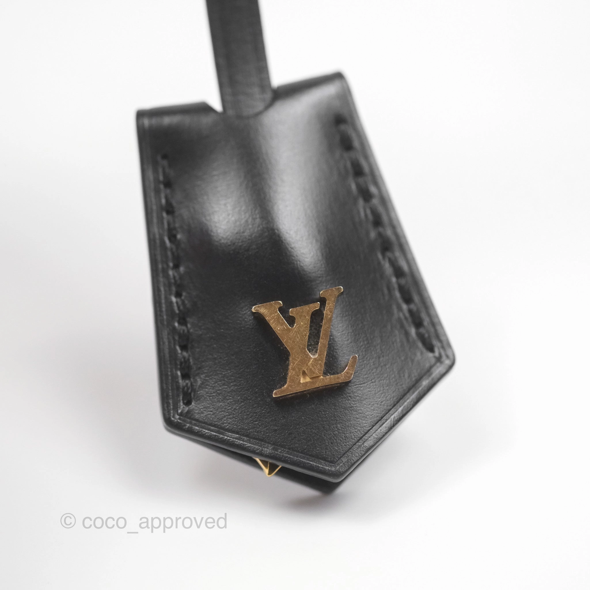 Louis Vuitton Reverse Monogram Vanity PM