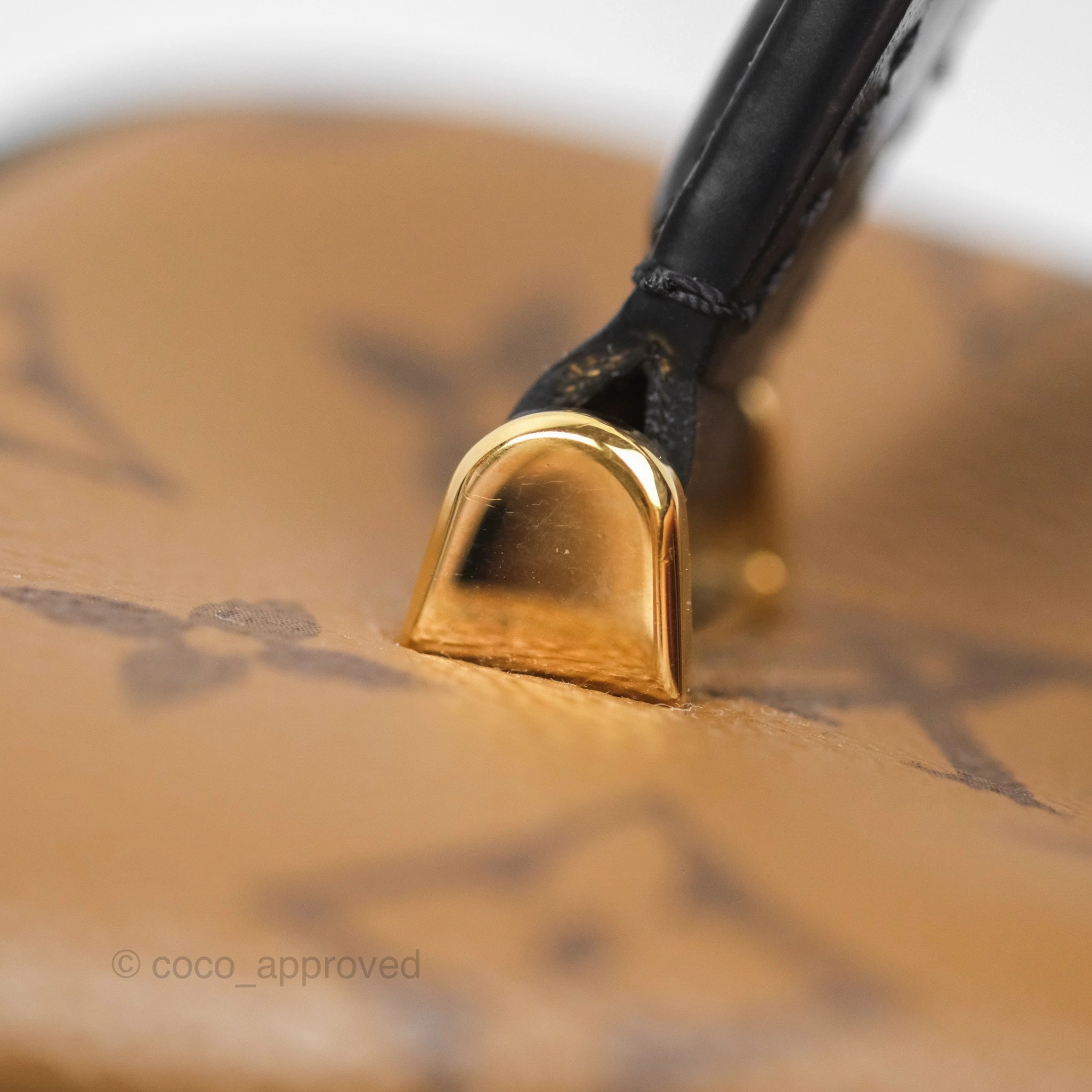 Louis Vuitton Reverse Monogram Vanity PM