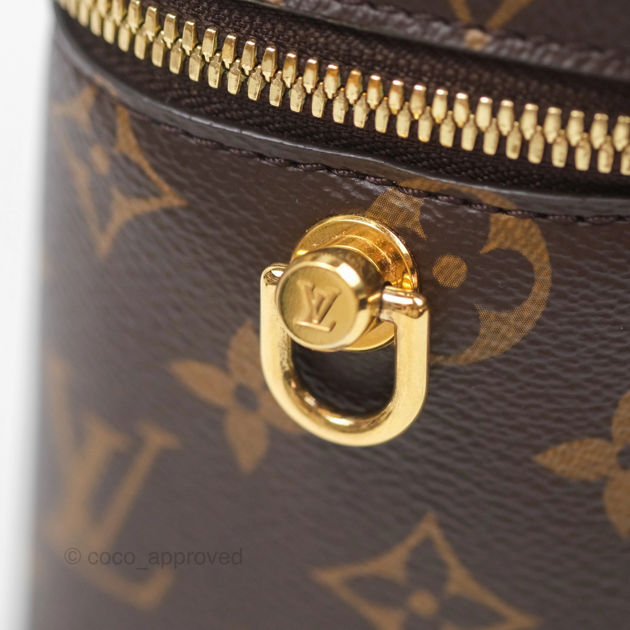Louis Vuitton Reverse Monogram Vanity PM