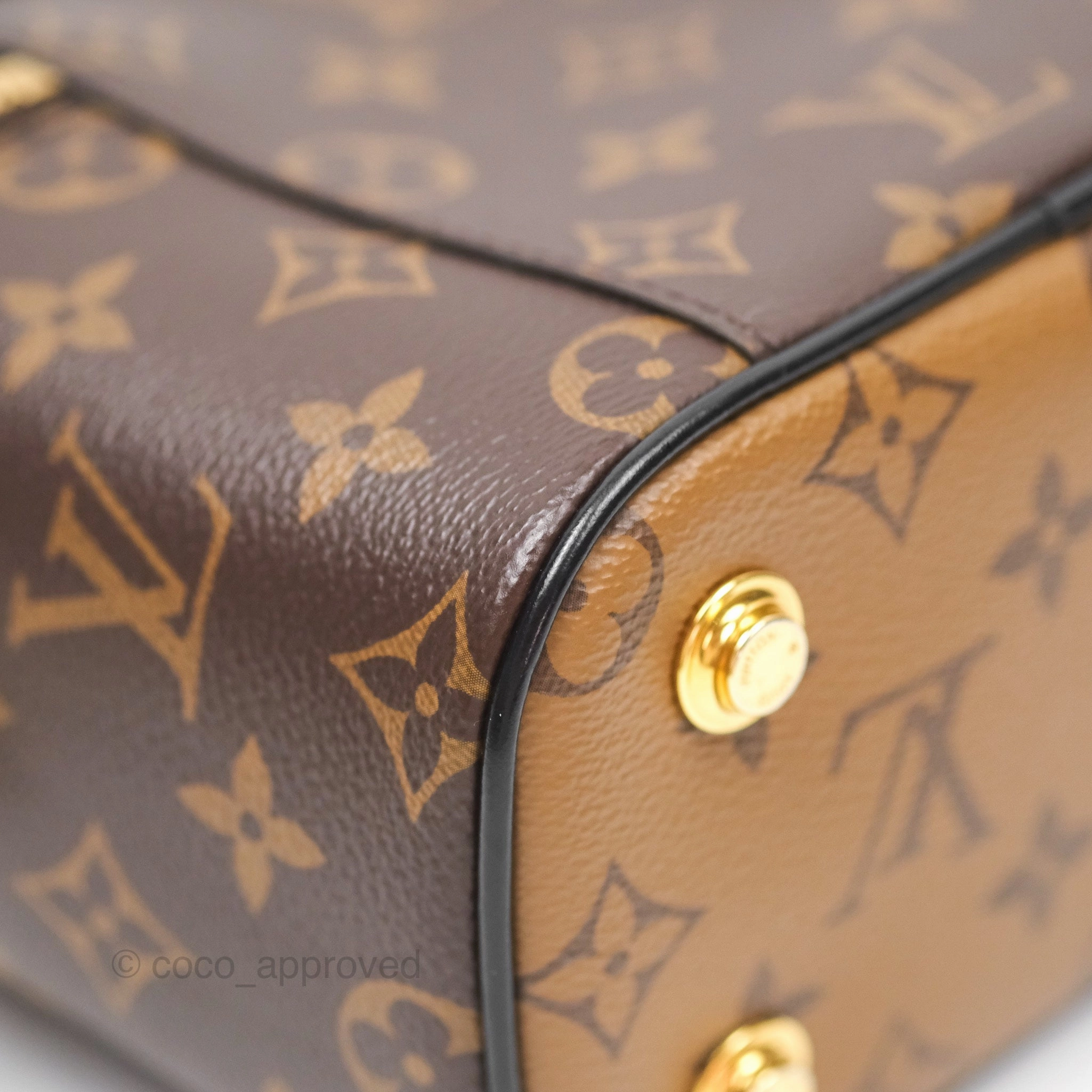Louis Vuitton Reverse Monogram Vanity PM