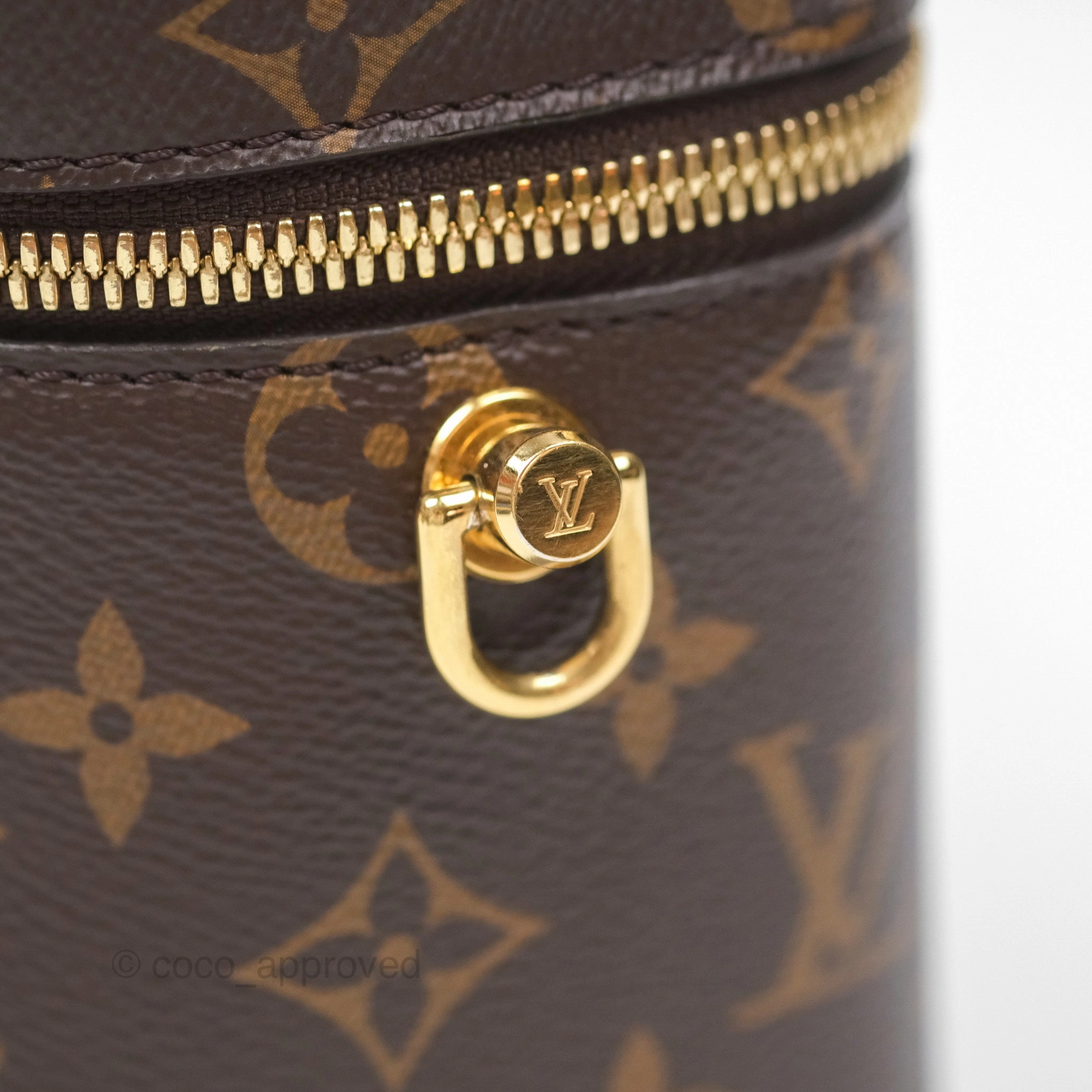 Louis Vuitton Reverse Monogram Vanity PM