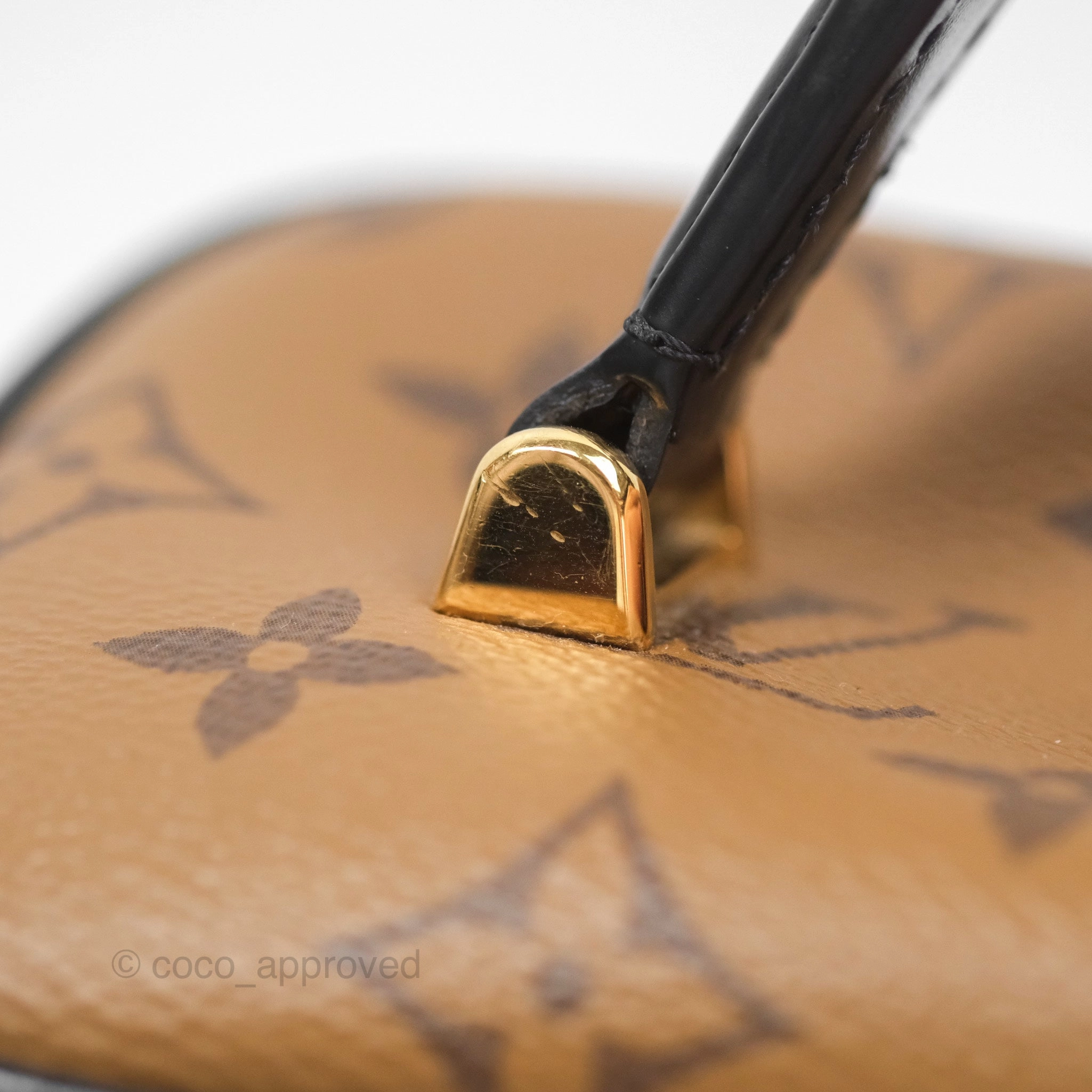 Louis Vuitton Reverse Monogram Vanity PM