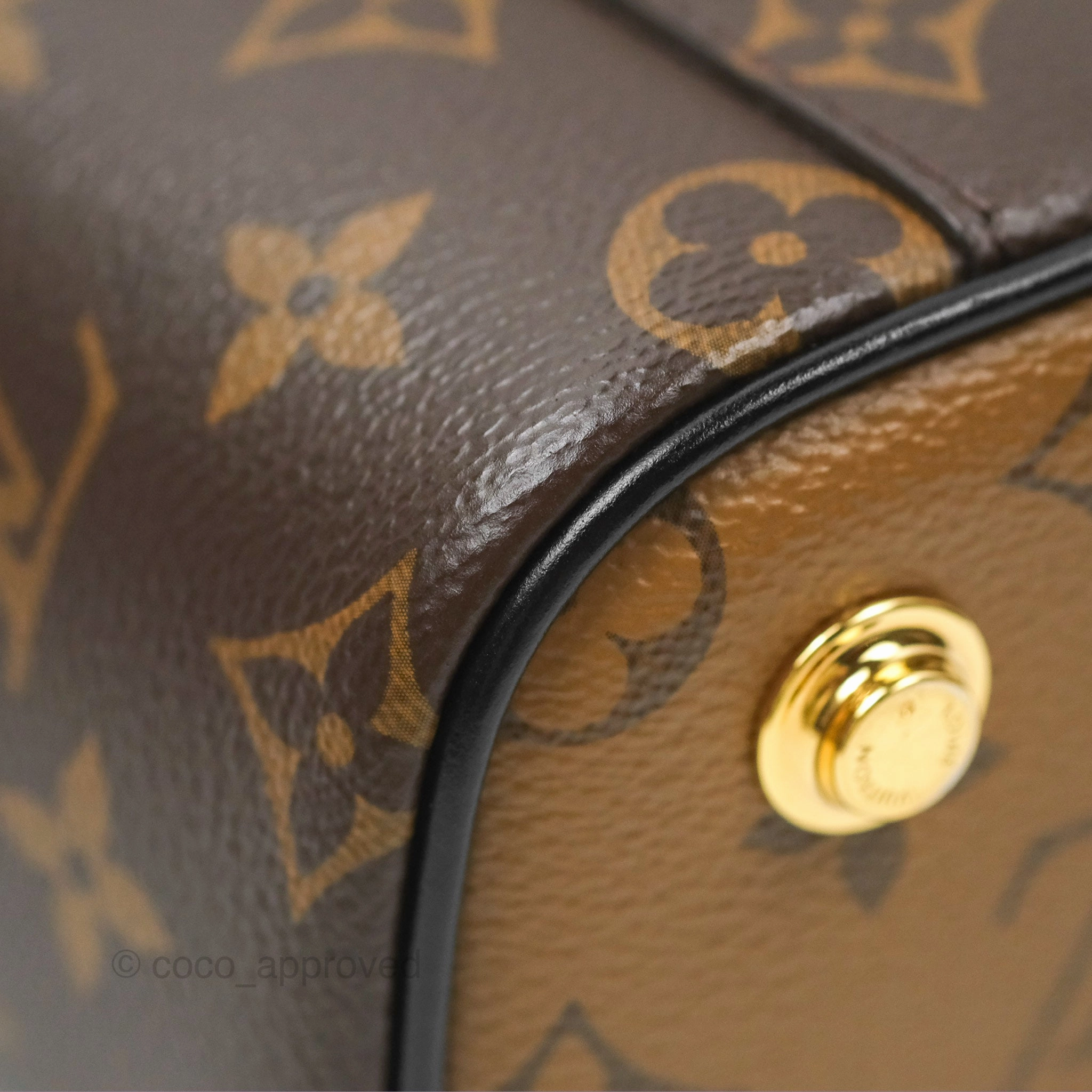 Louis Vuitton Reverse Monogram Vanity PM