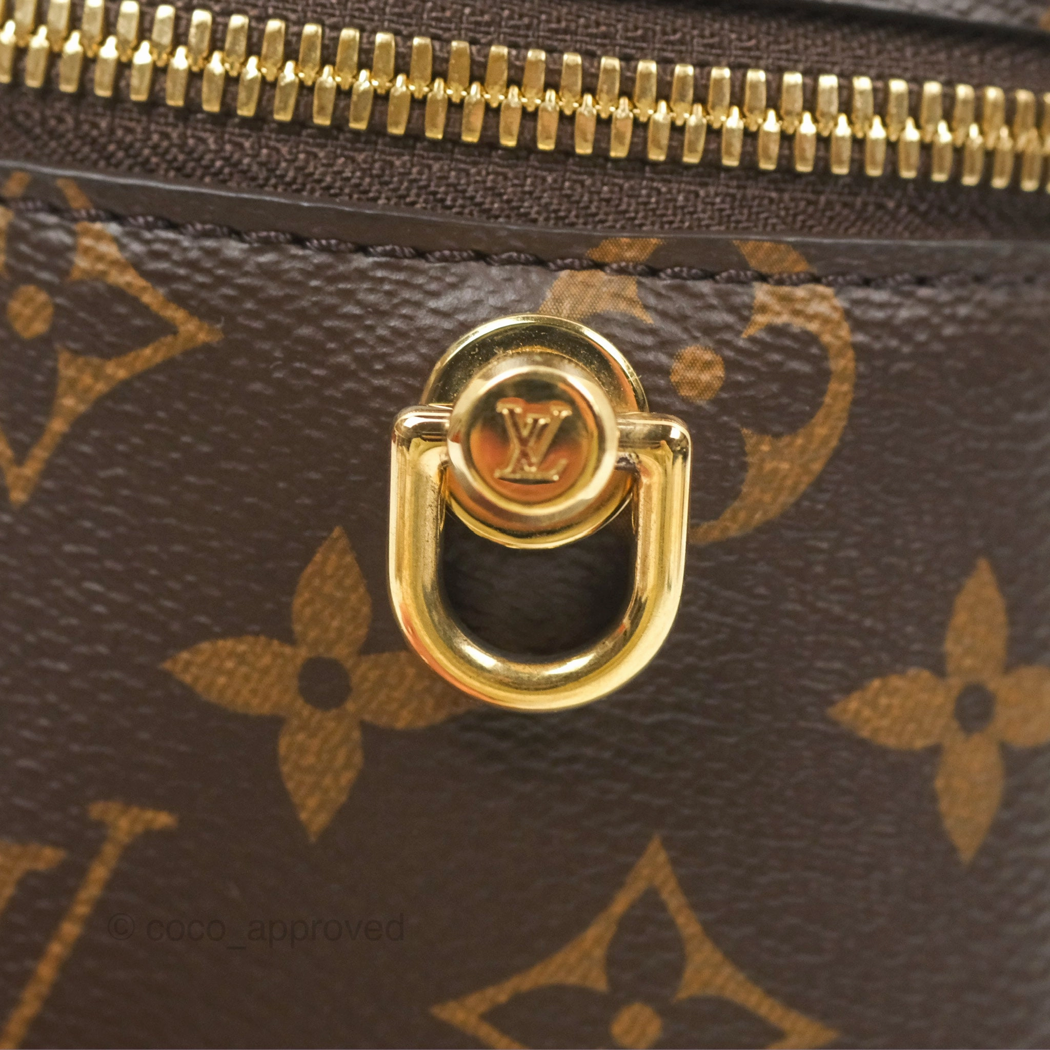 Louis Vuitton Reverse Monogram Vanity PM