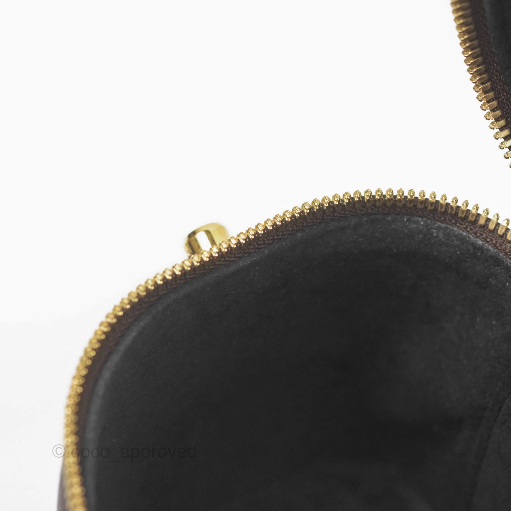 Louis Vuitton Reverse Monogram Vanity PM