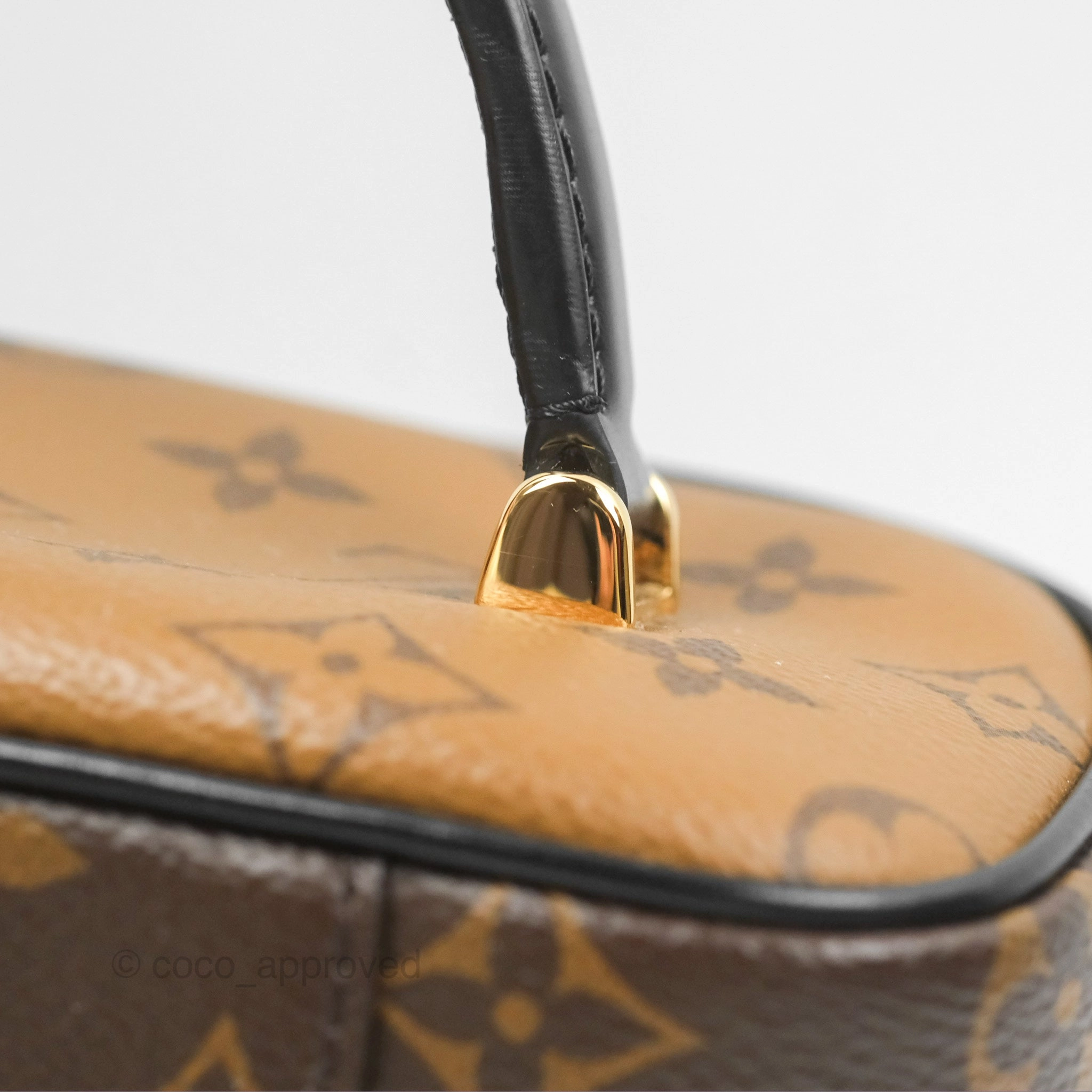 Louis Vuitton Reverse Monogram Vanity PM