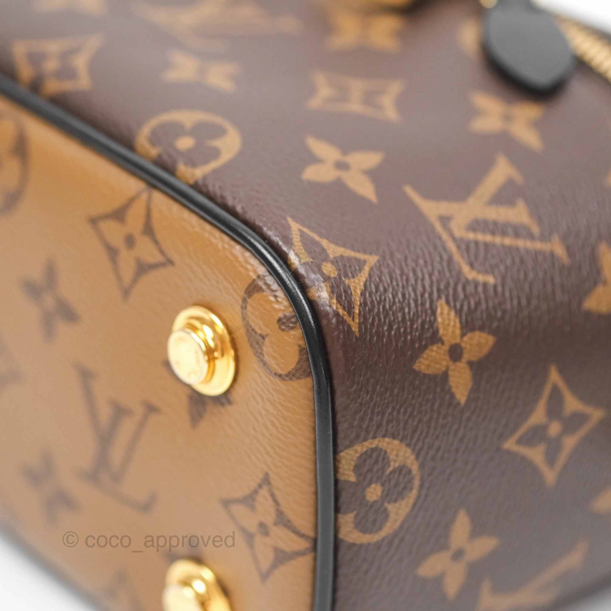 Louis Vuitton Reverse Monogram Vanity PM