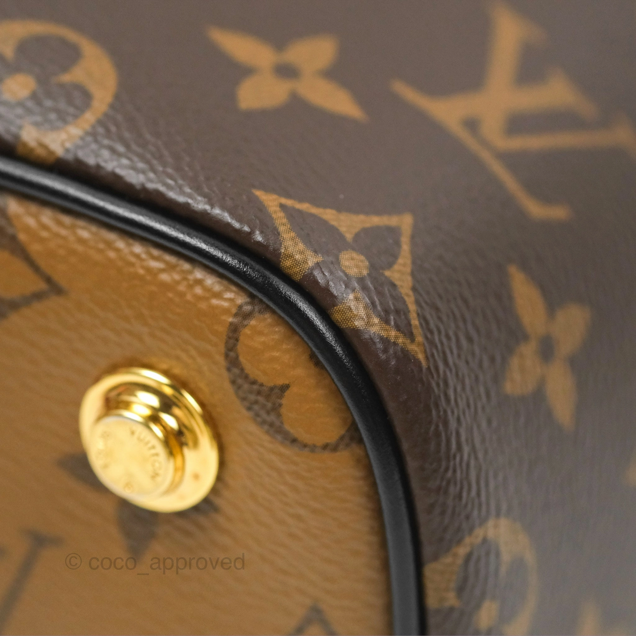 Louis Vuitton Reverse Monogram Vanity PM