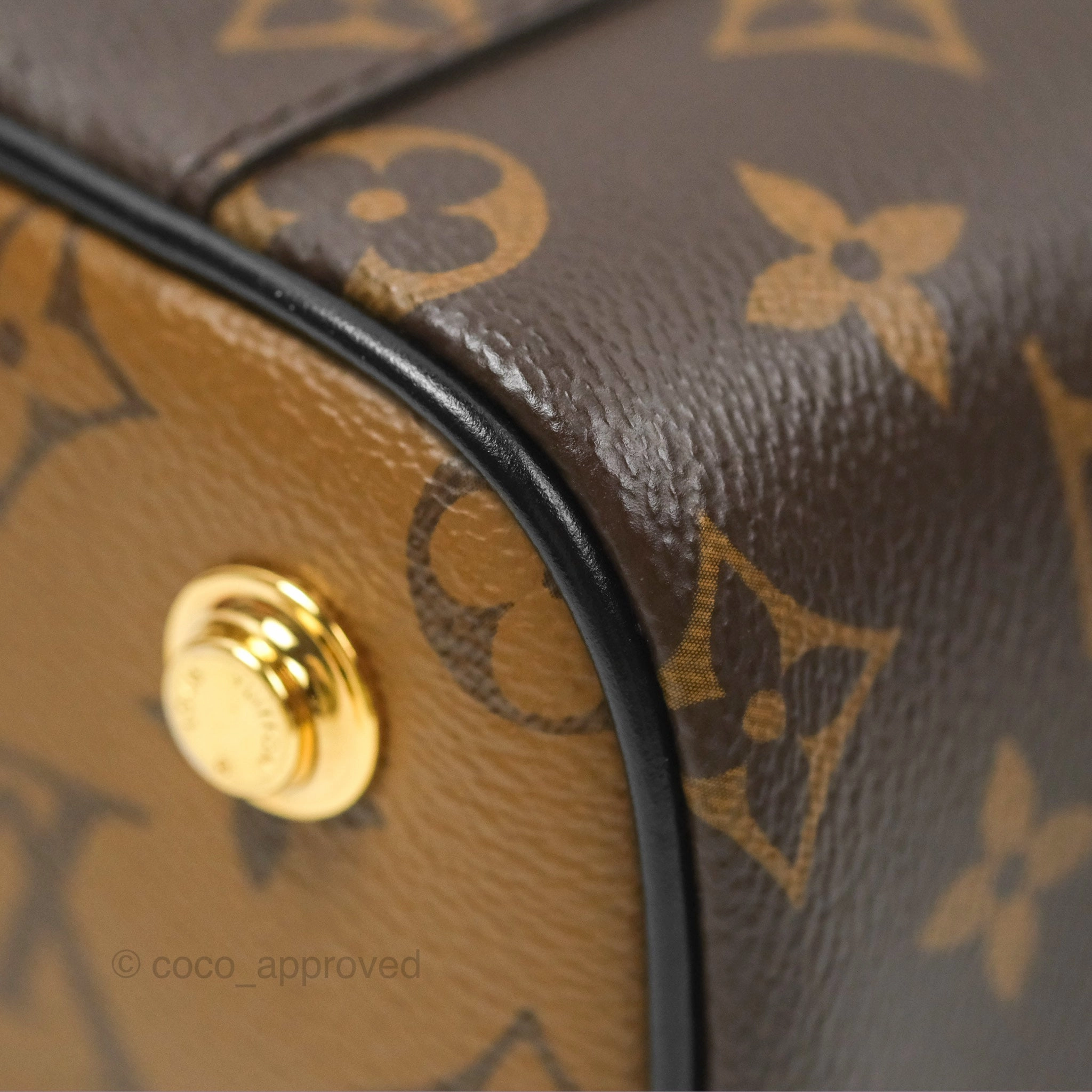Louis Vuitton Reverse Monogram Vanity PM