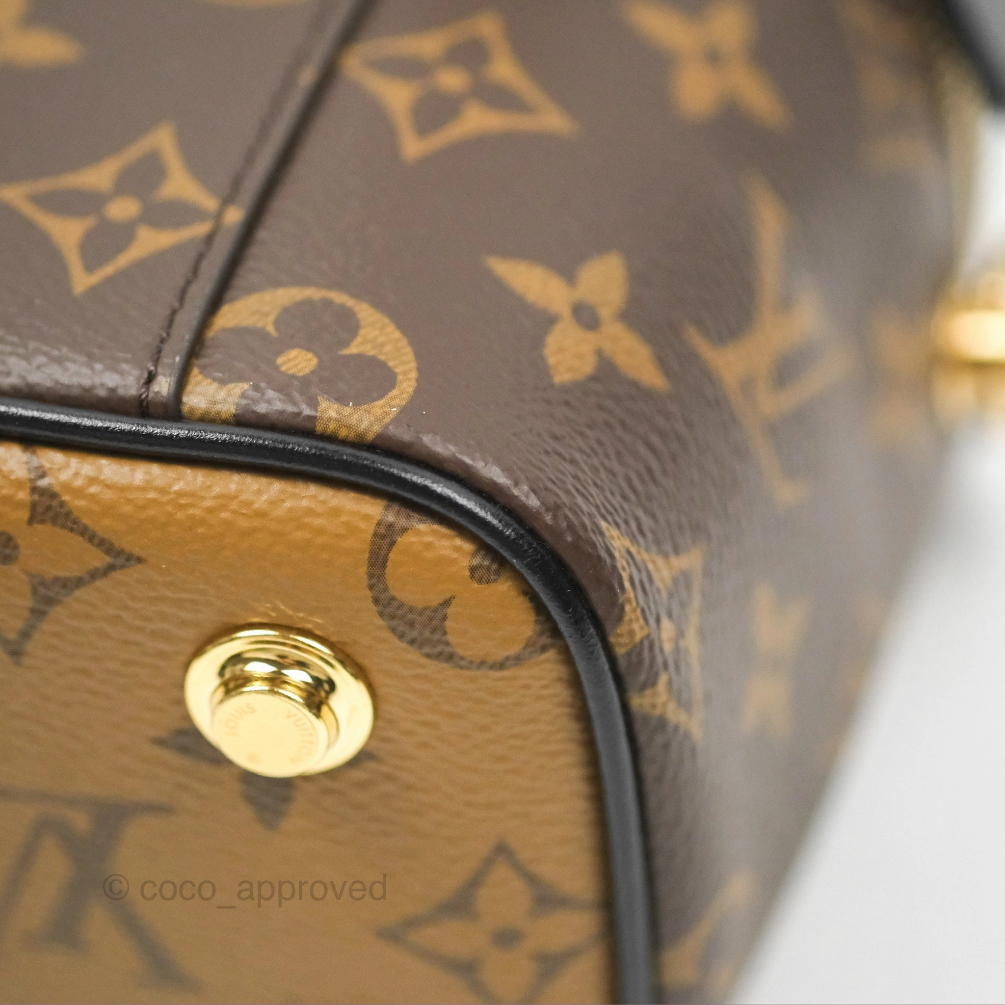 Louis Vuitton Reverse Monogram Vanity PM