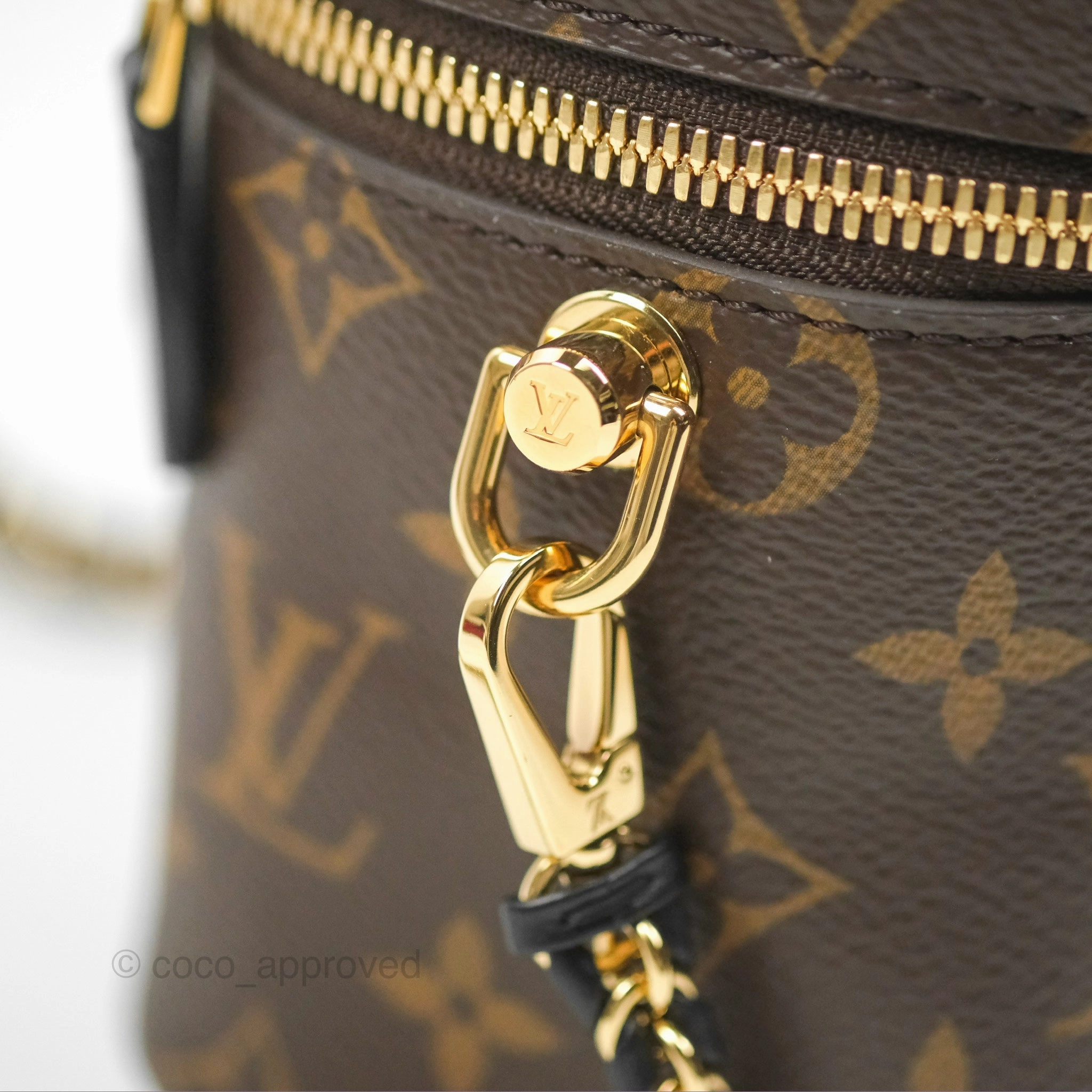 Louis Vuitton Reverse Monogram Vanity PM