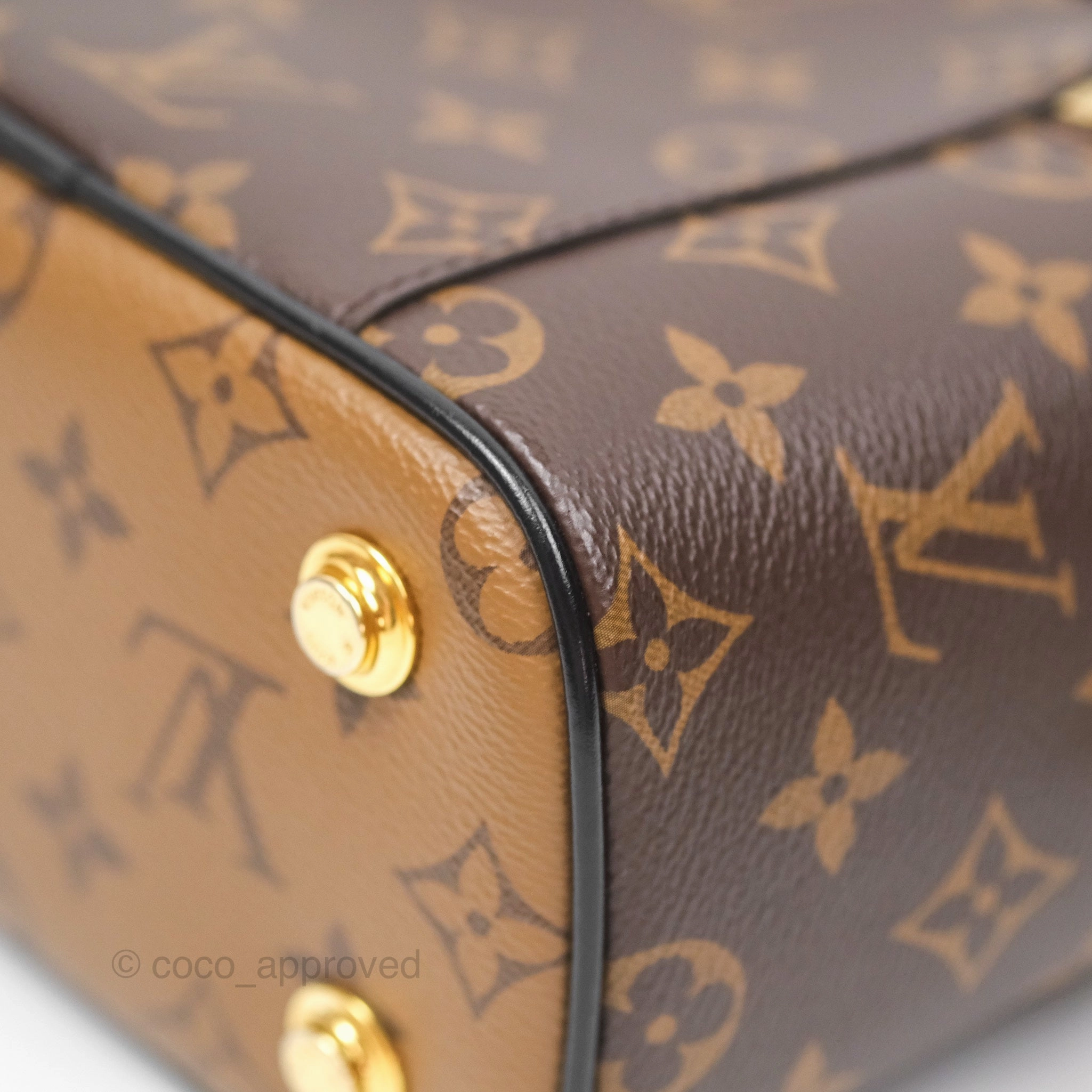 Louis Vuitton Reverse Monogram Vanity PM