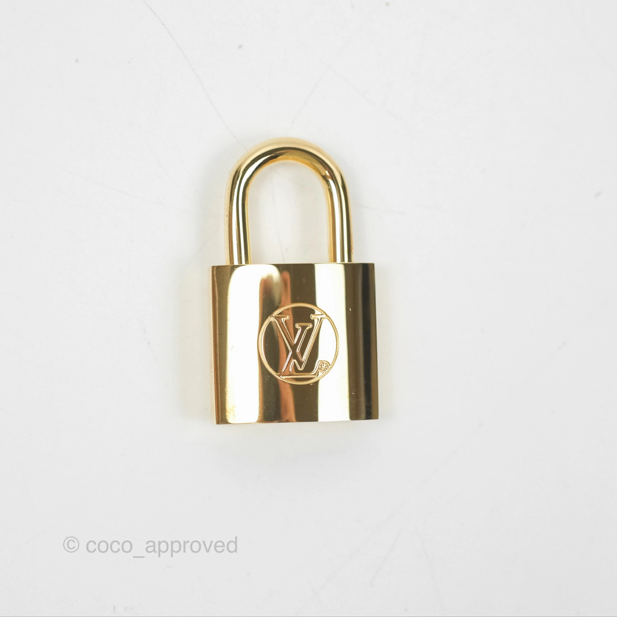 Louis Vuitton Reverse Monogram Vanity PM
