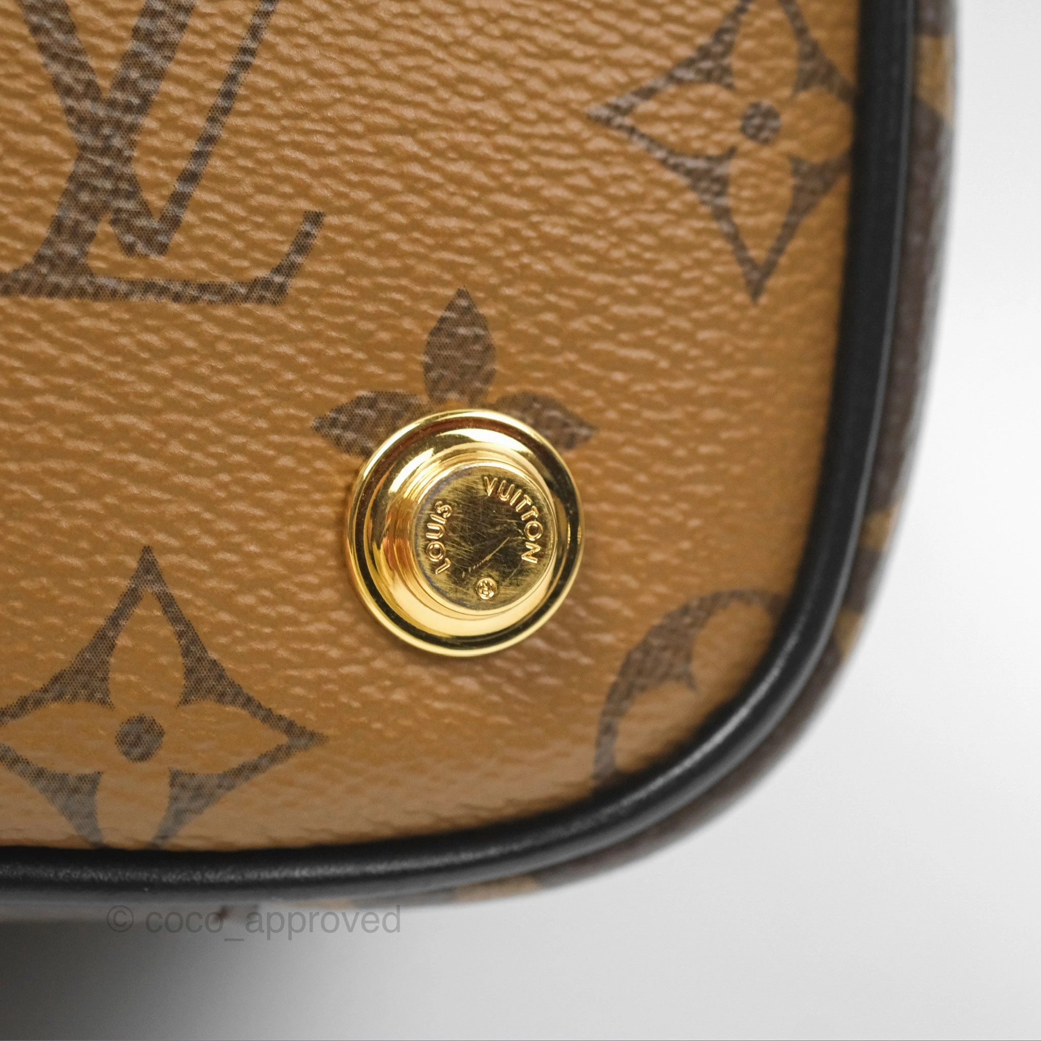 Louis Vuitton Reverse Monogram Vanity PM