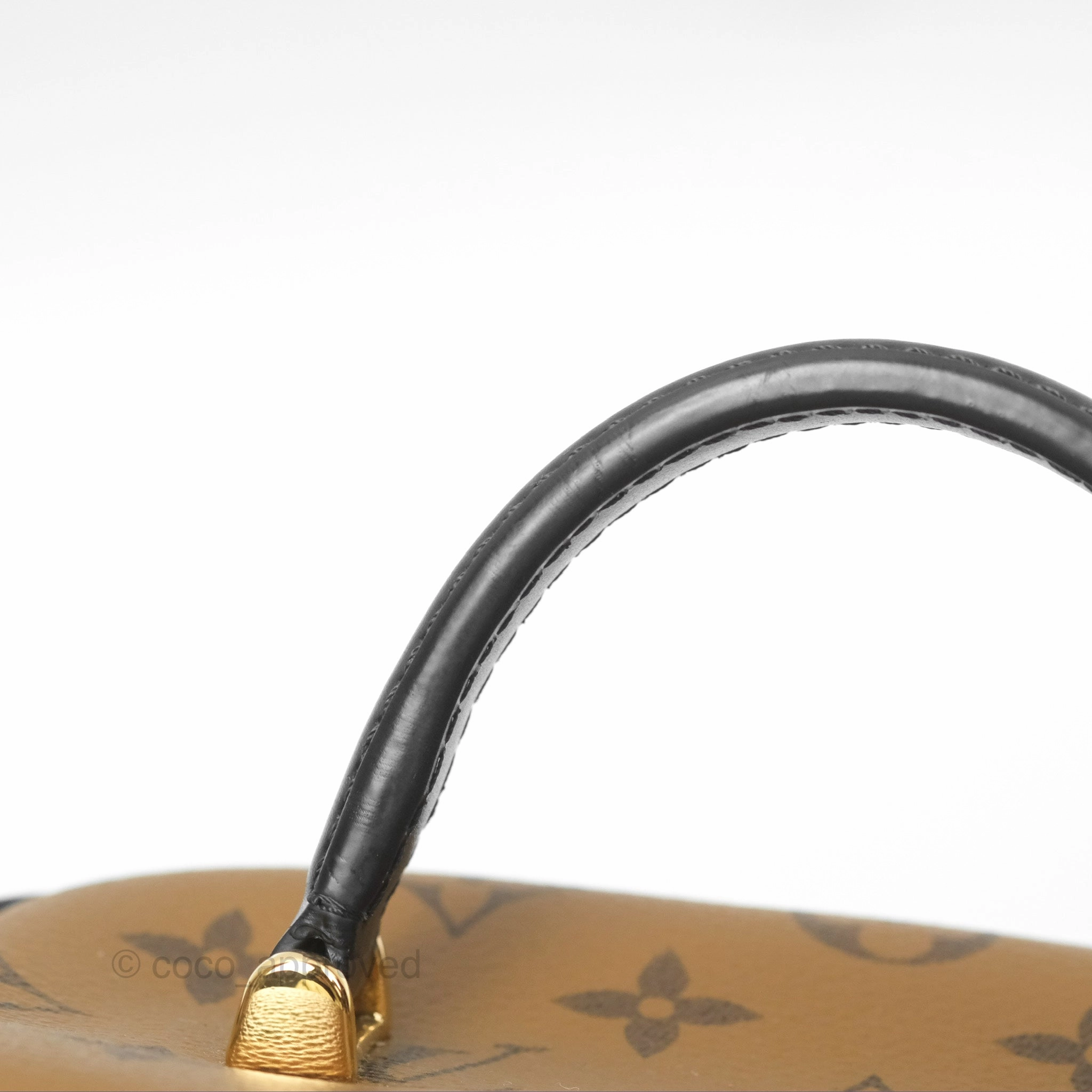 Louis Vuitton Reverse Monogram Vanity PM