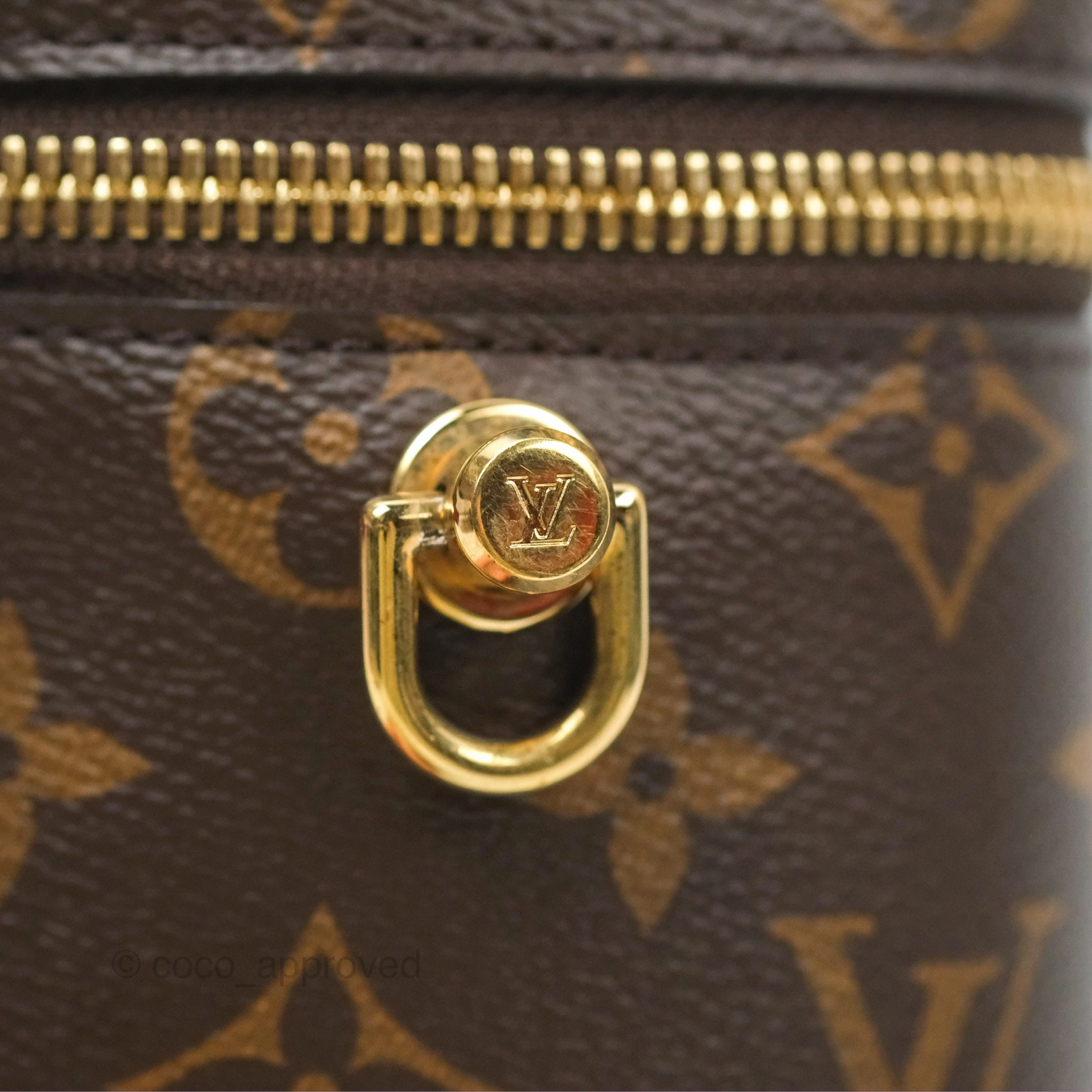 Louis Vuitton Reverse Monogram Vanity PM
