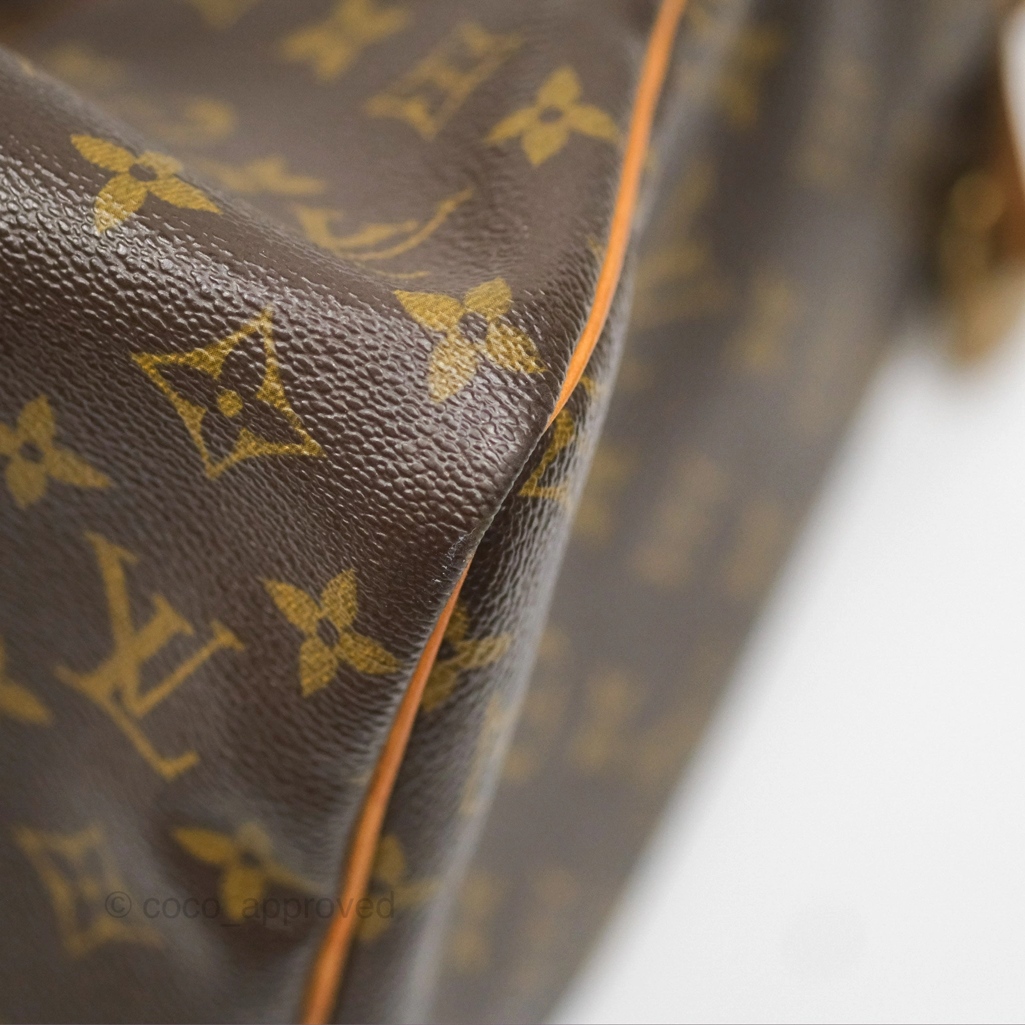 Louis Vuitton Speedy 30 Monogram Canvas