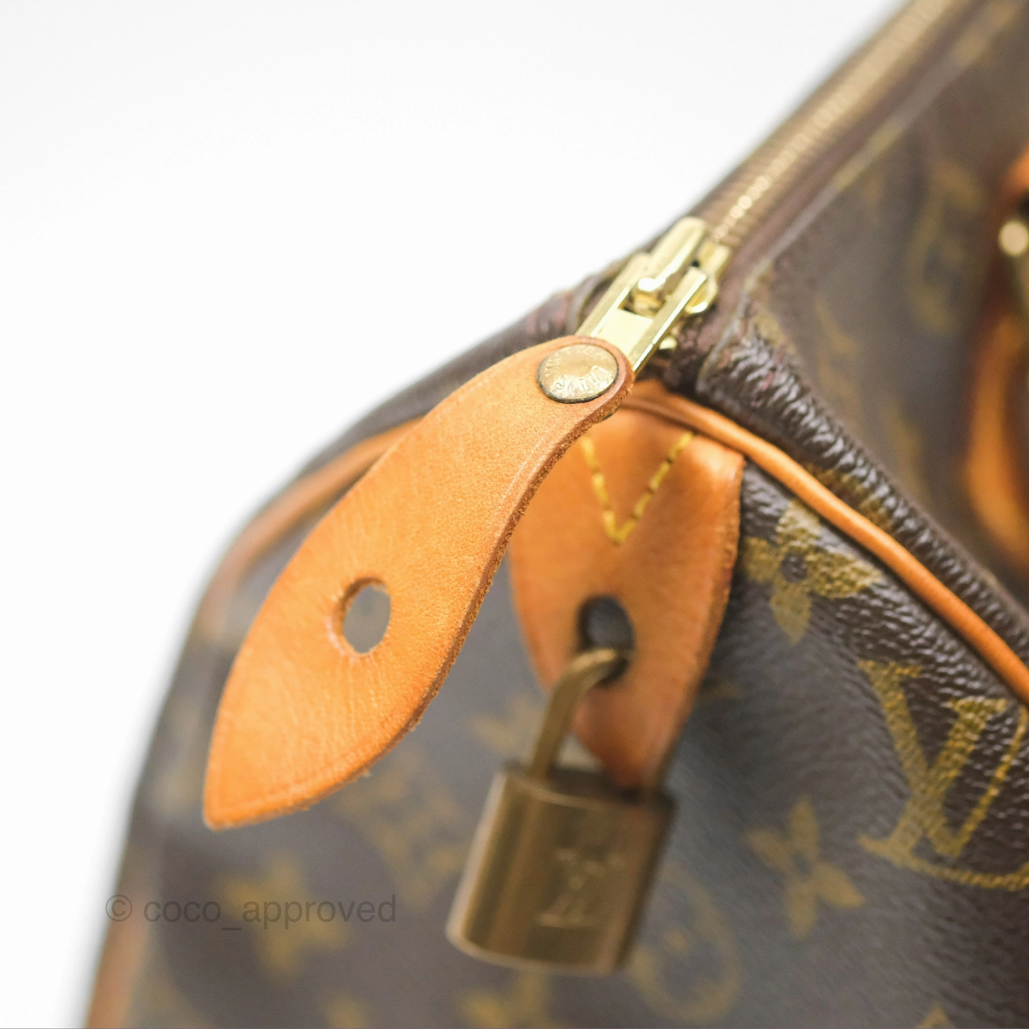 Louis Vuitton Speedy 30 Monogram Canvas