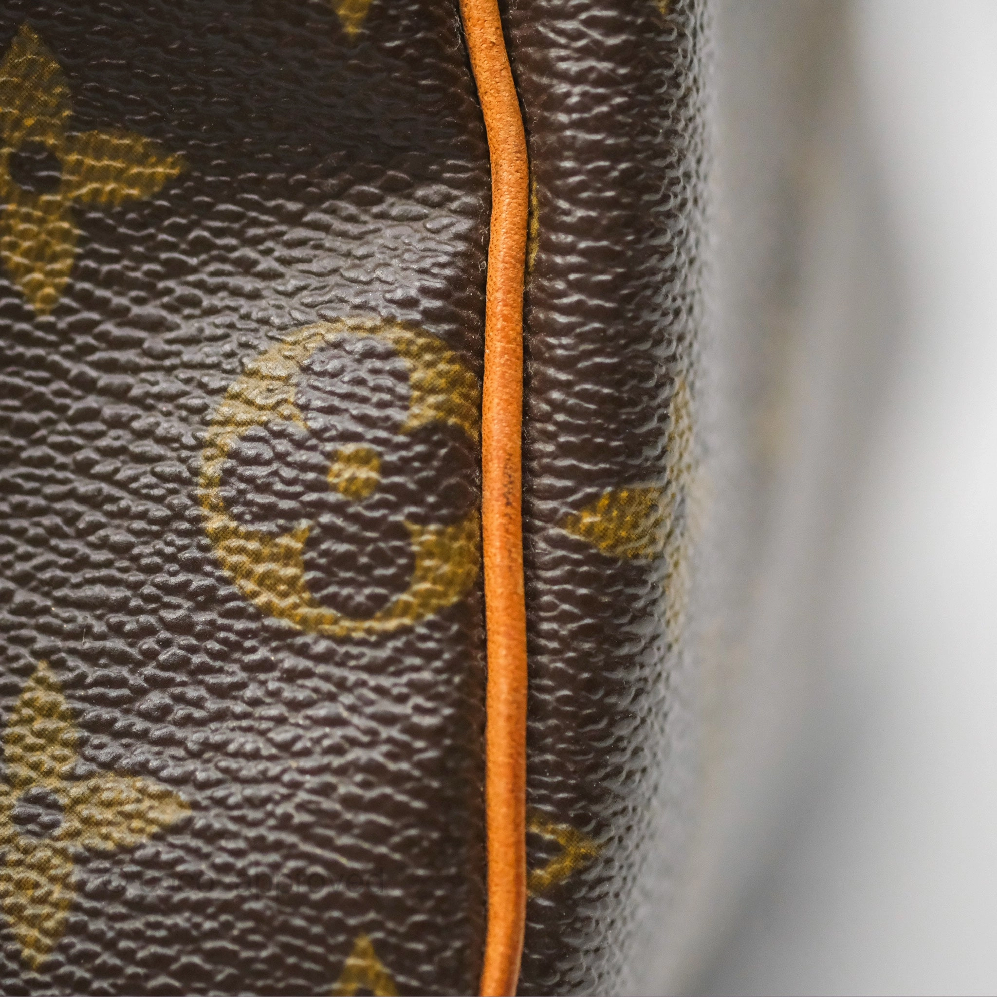 Louis Vuitton Speedy 30 Monogram Canvas