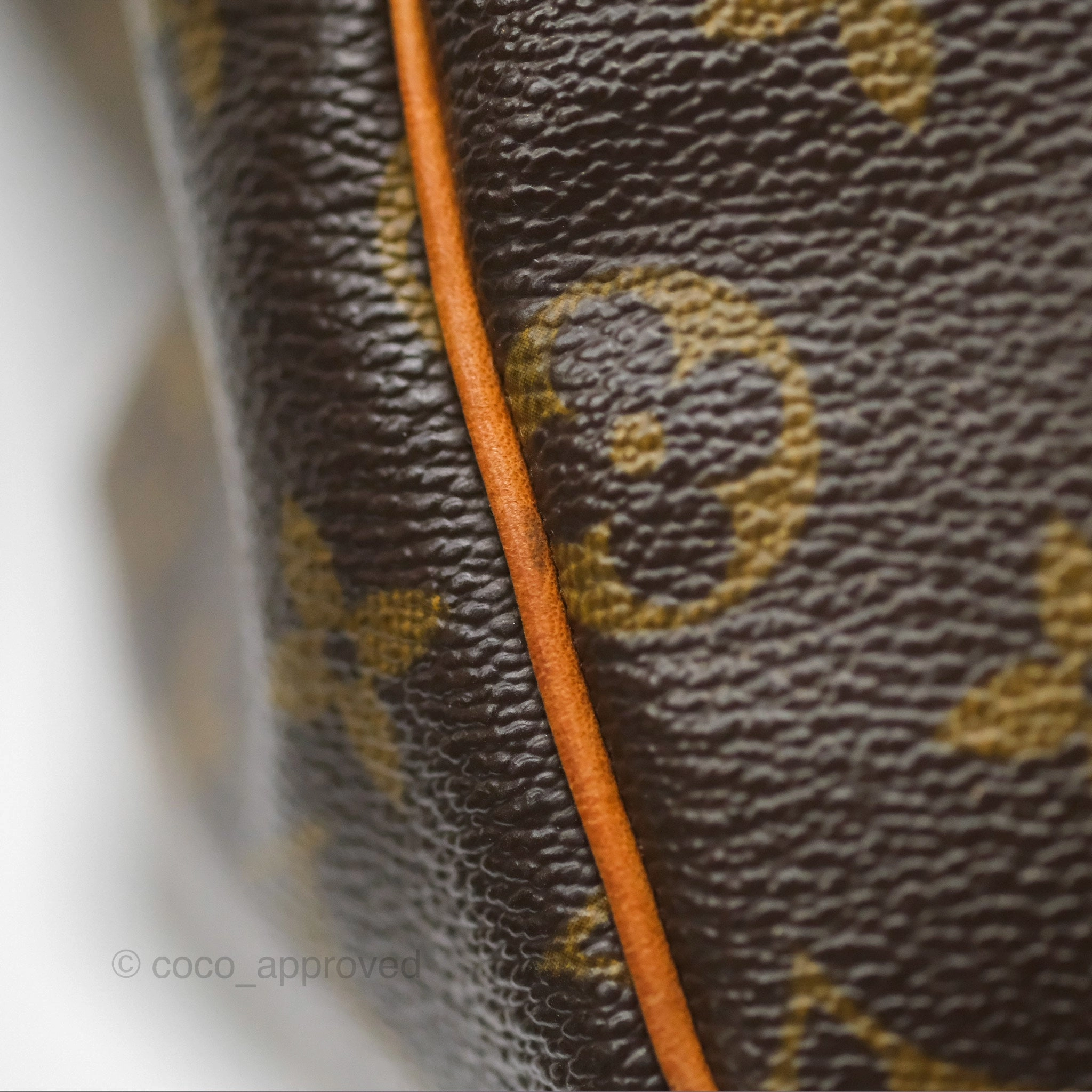Louis Vuitton Speedy 30 Monogram Canvas