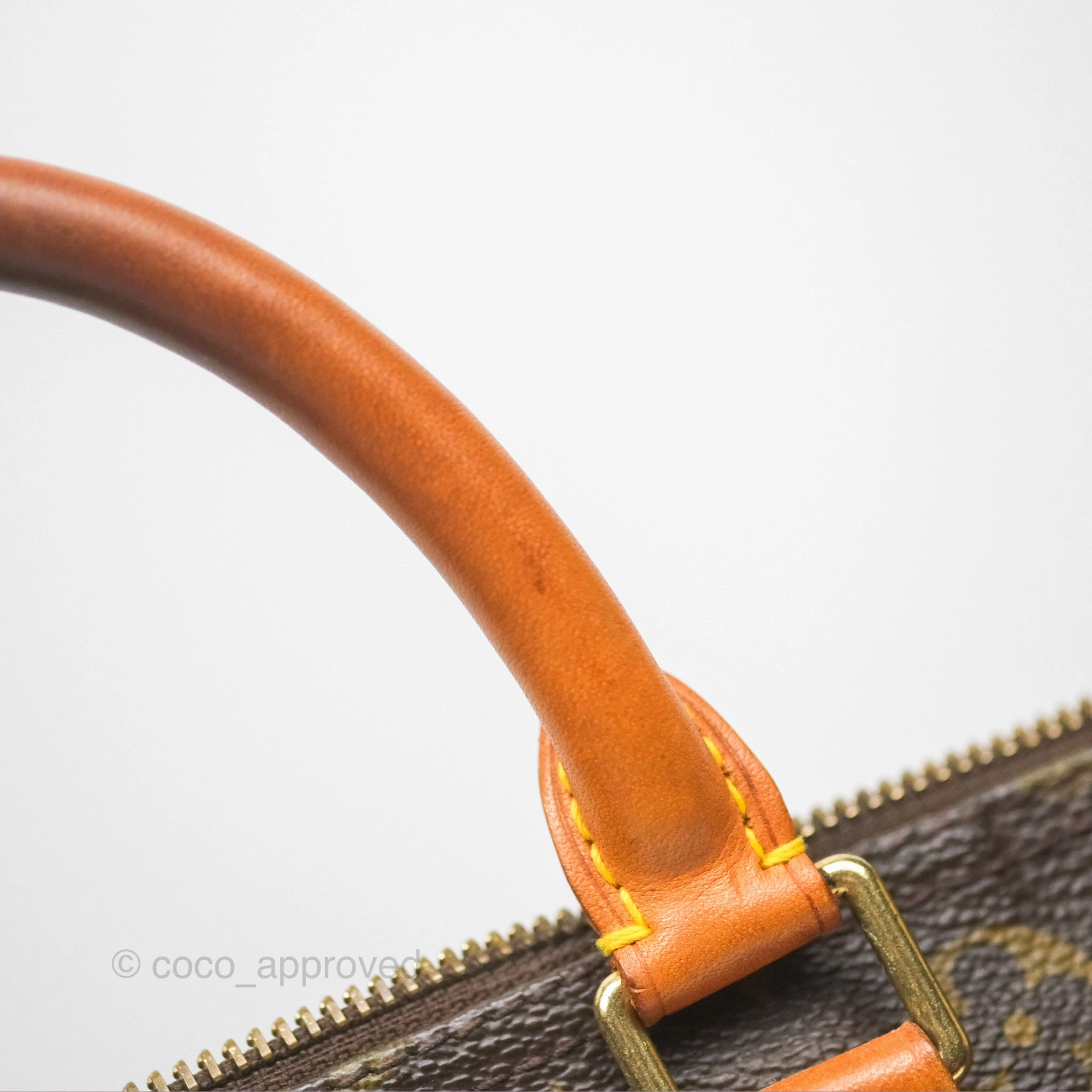 Louis Vuitton Speedy 30 Monogram Canvas