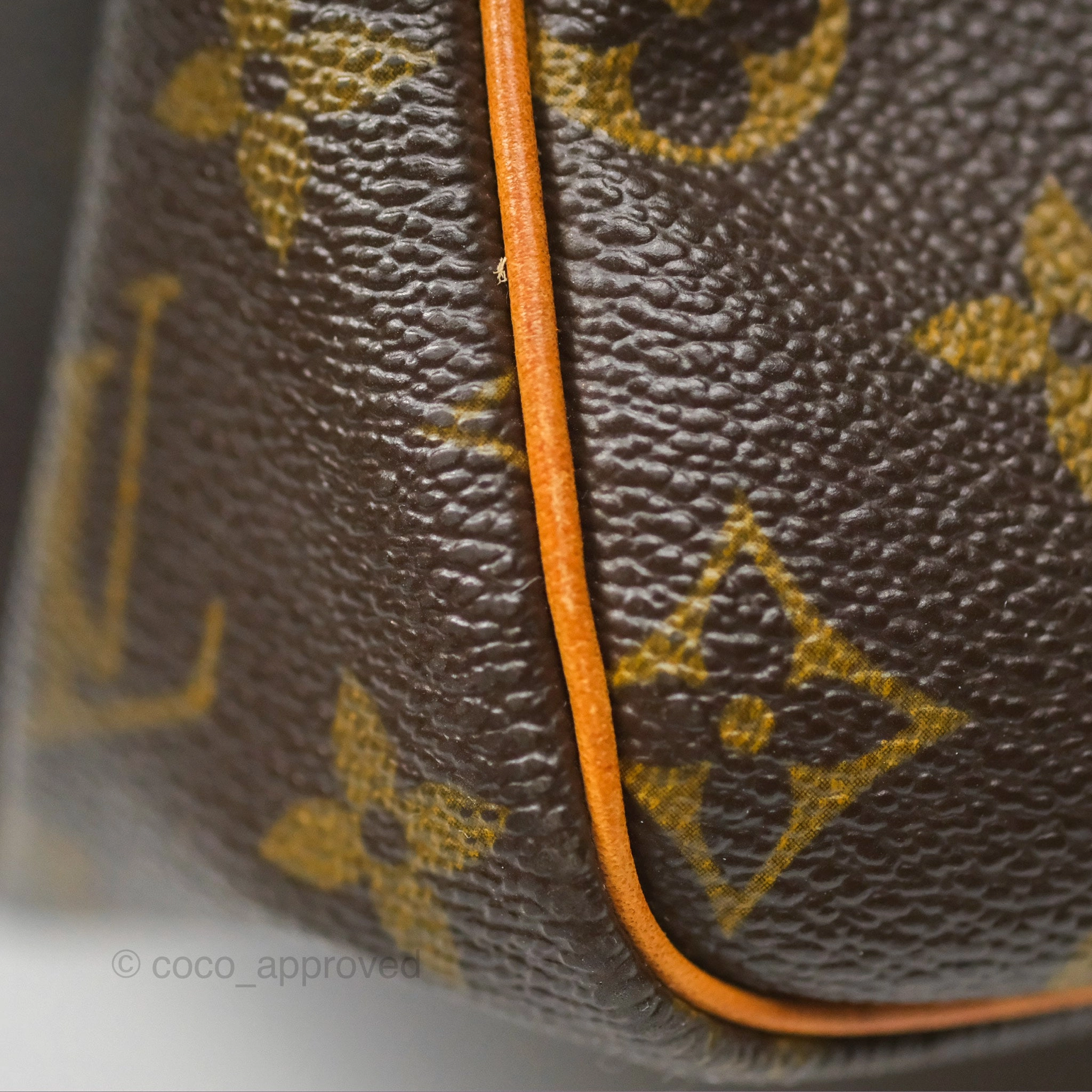 Louis Vuitton Speedy 30 Monogram Canvas