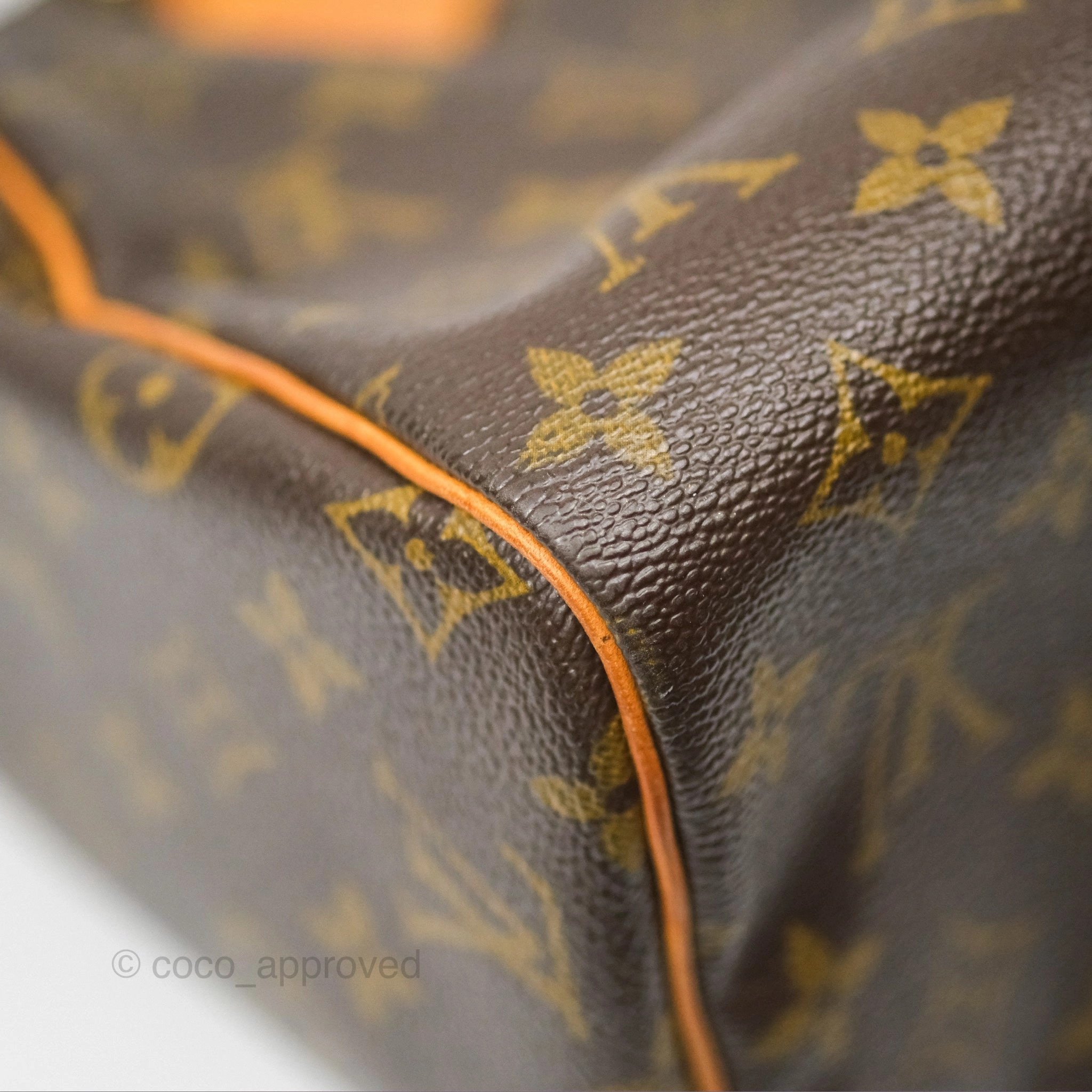 Louis Vuitton Speedy 30 Monogram Canvas