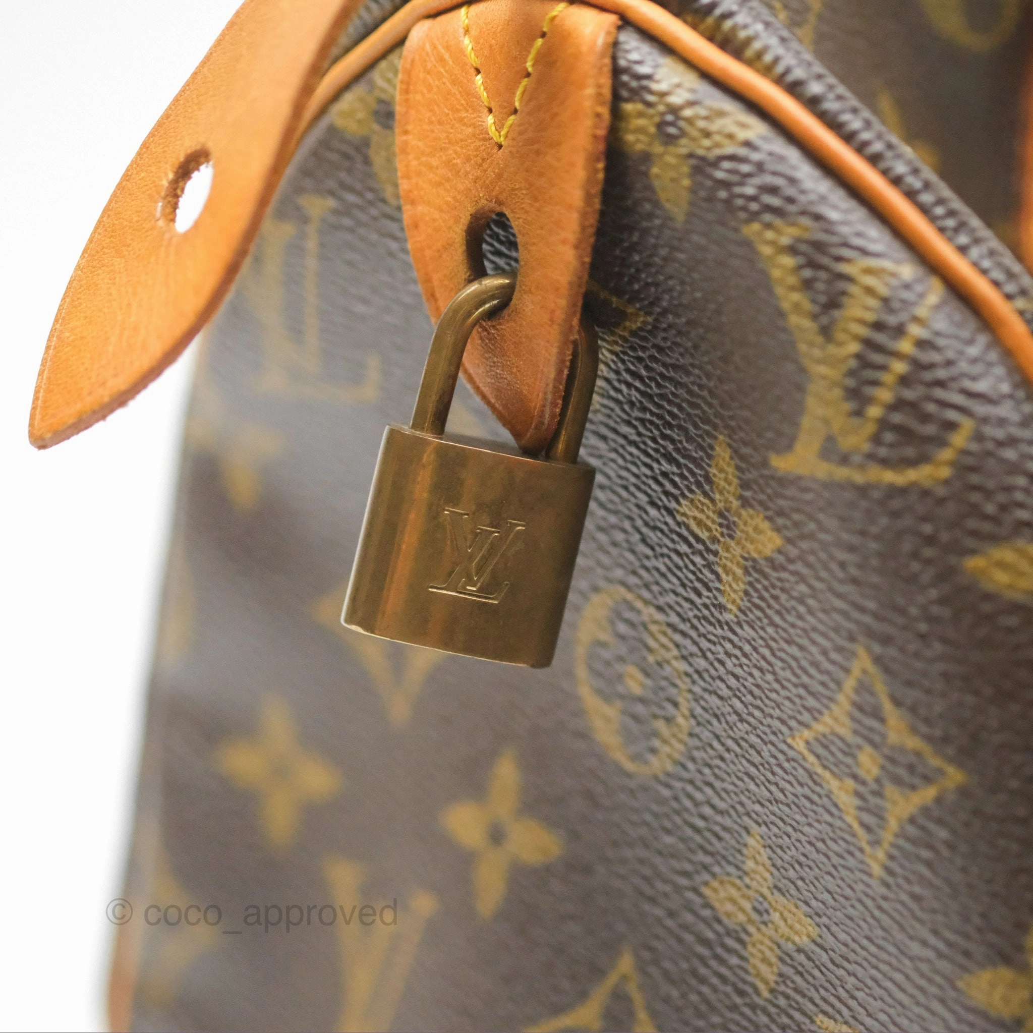 Louis Vuitton Speedy 30 Monogram Canvas