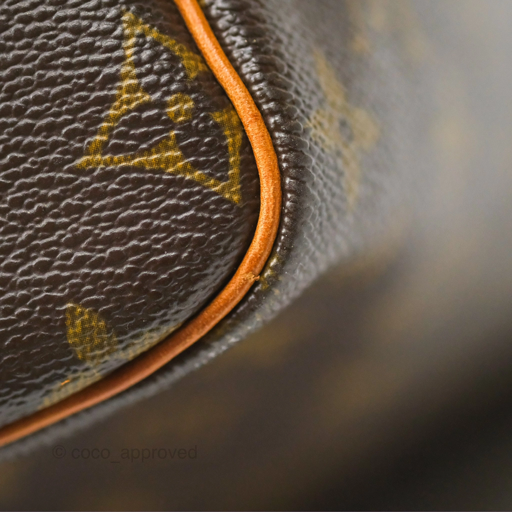 Louis Vuitton Speedy 30 Monogram Canvas